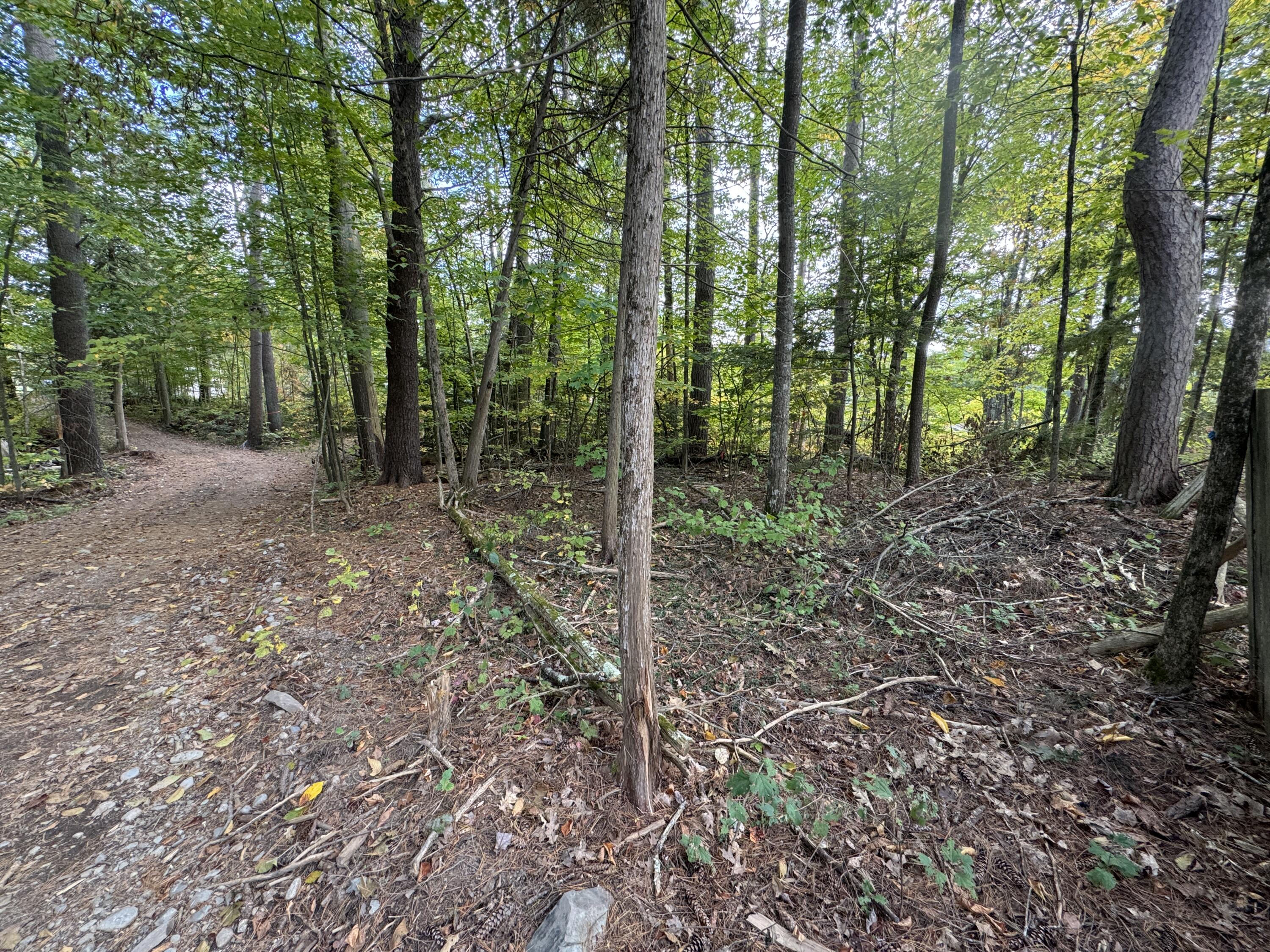 Lot 5 Locust Lane