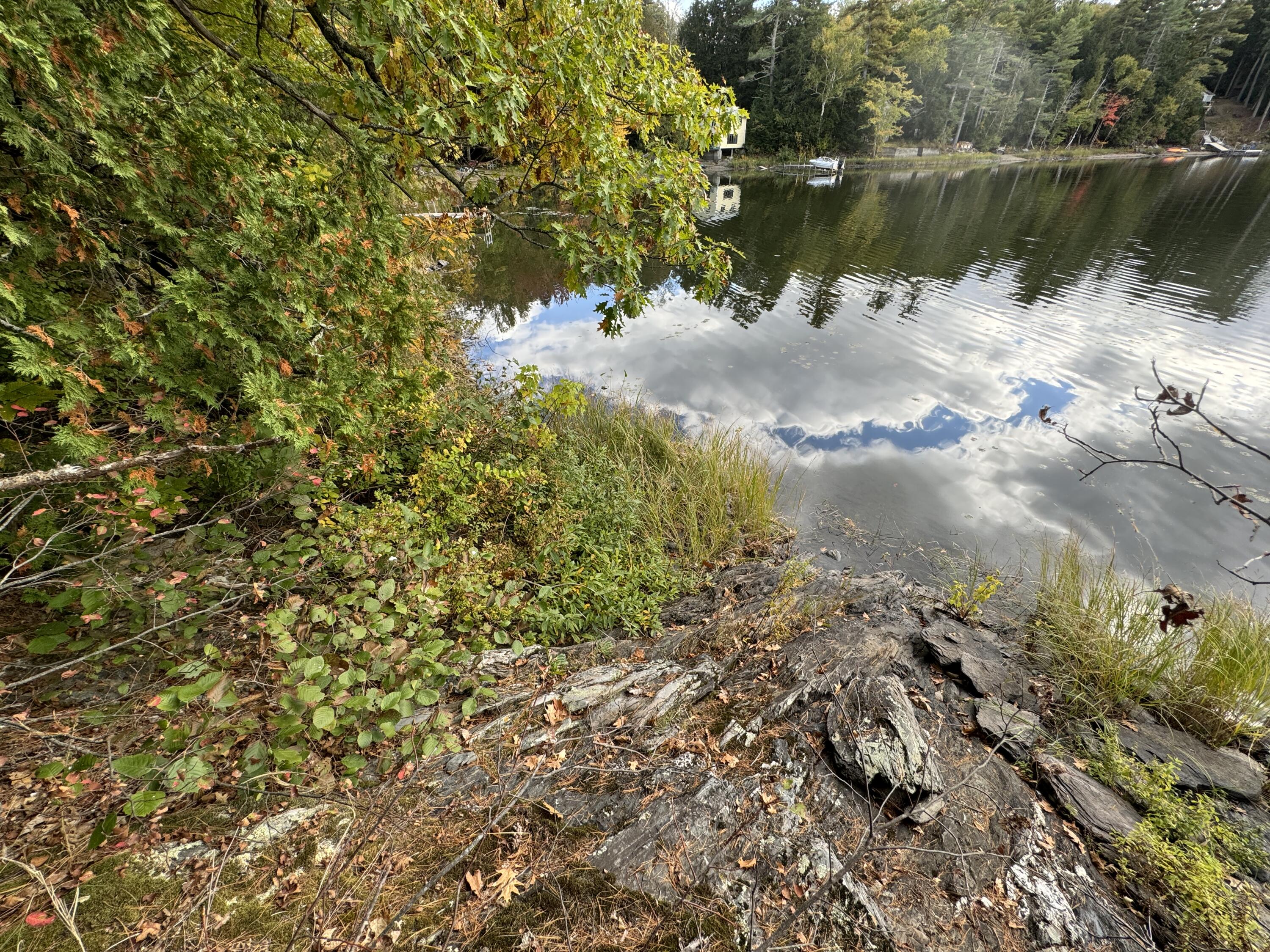 Lot 5 Locust Lane