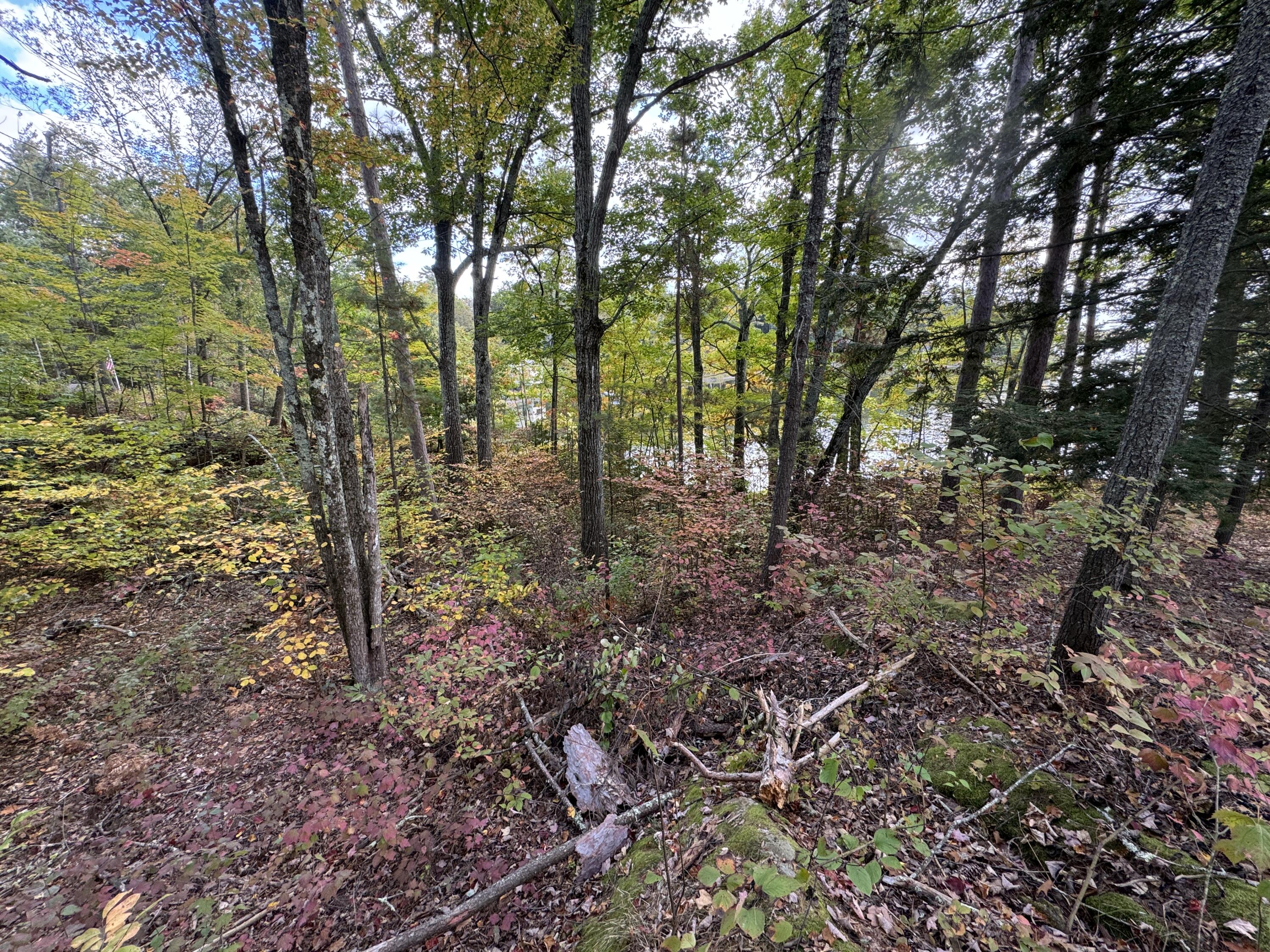 Lot 5 Locust Lane