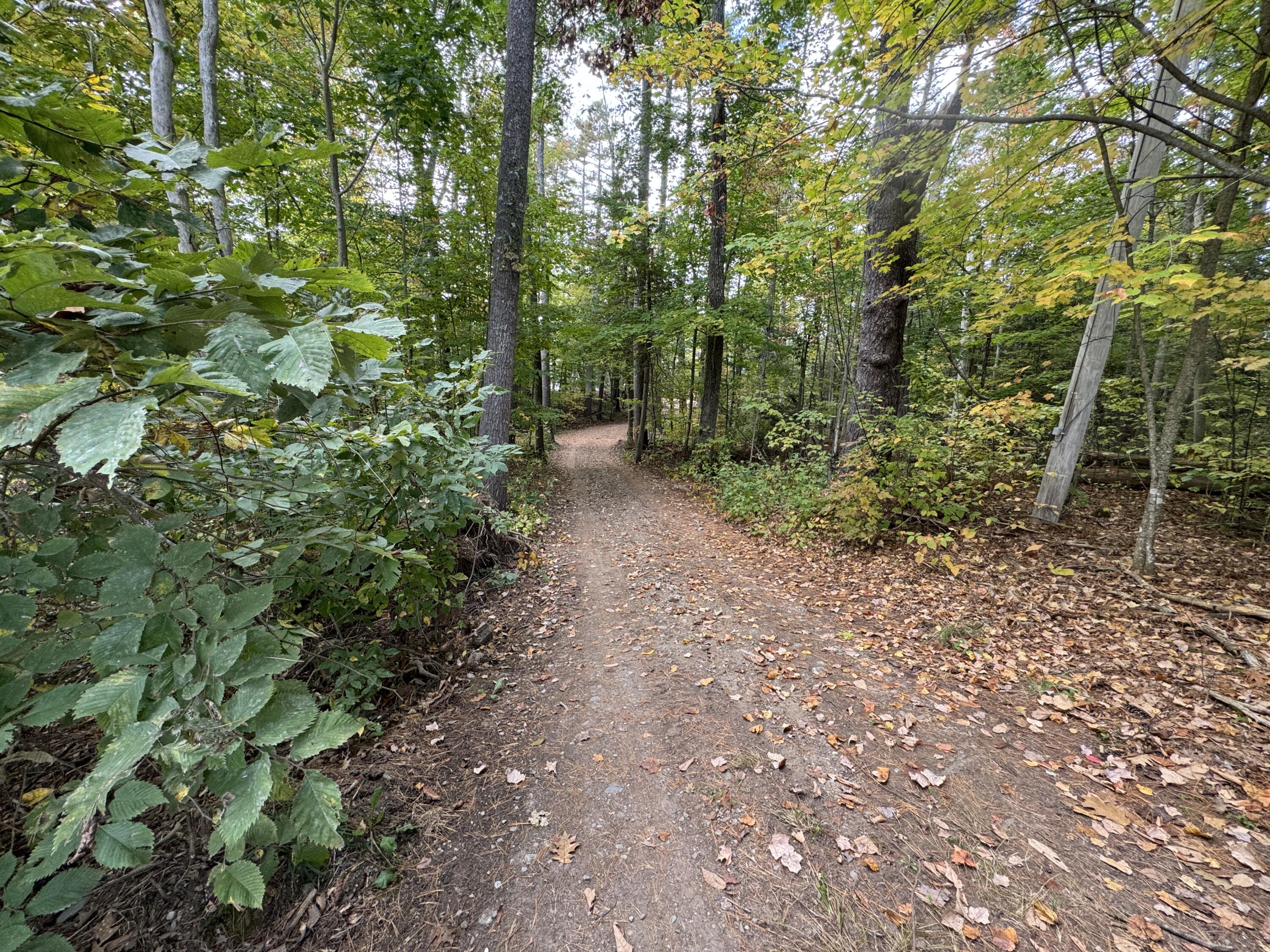 Lot 5 Locust Lane