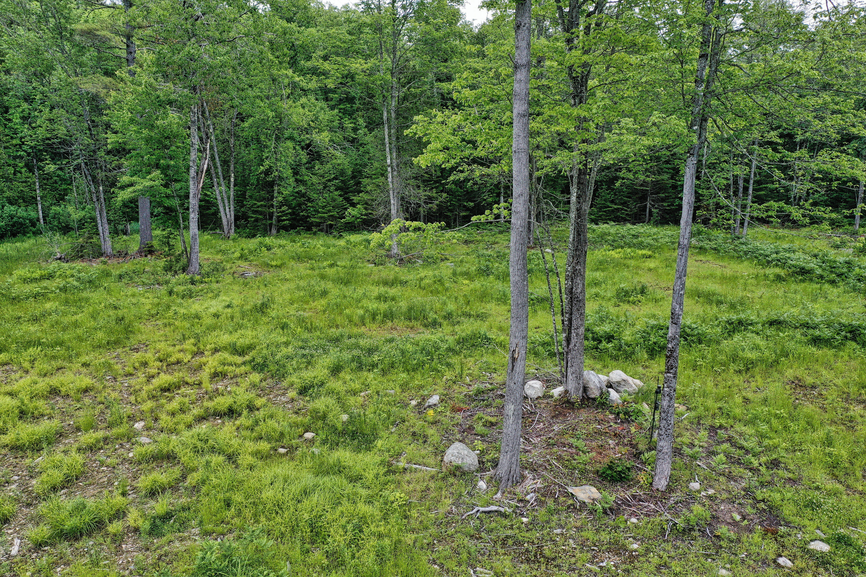 Lot 12 South Road