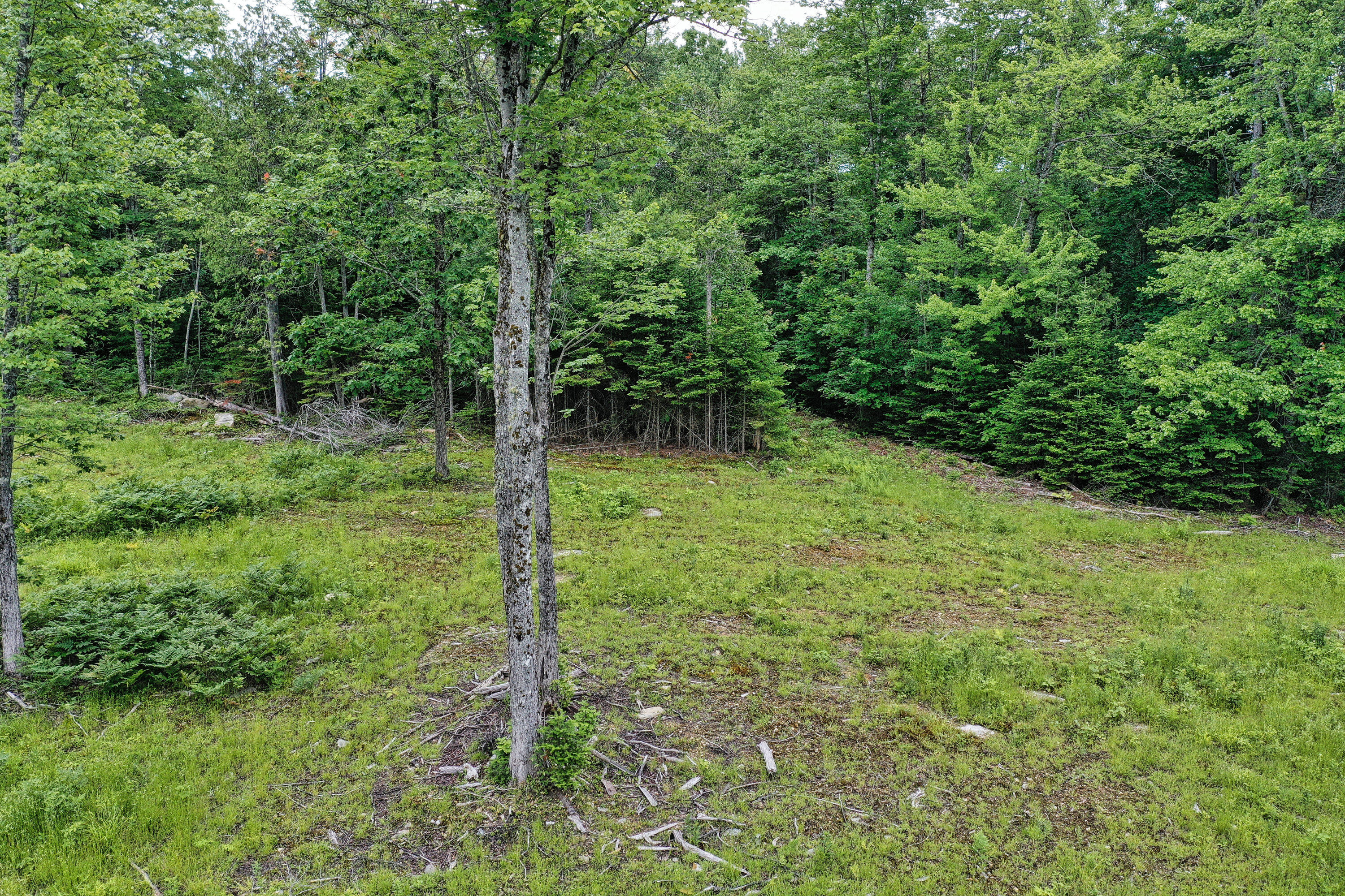 Lot 12 South Road
