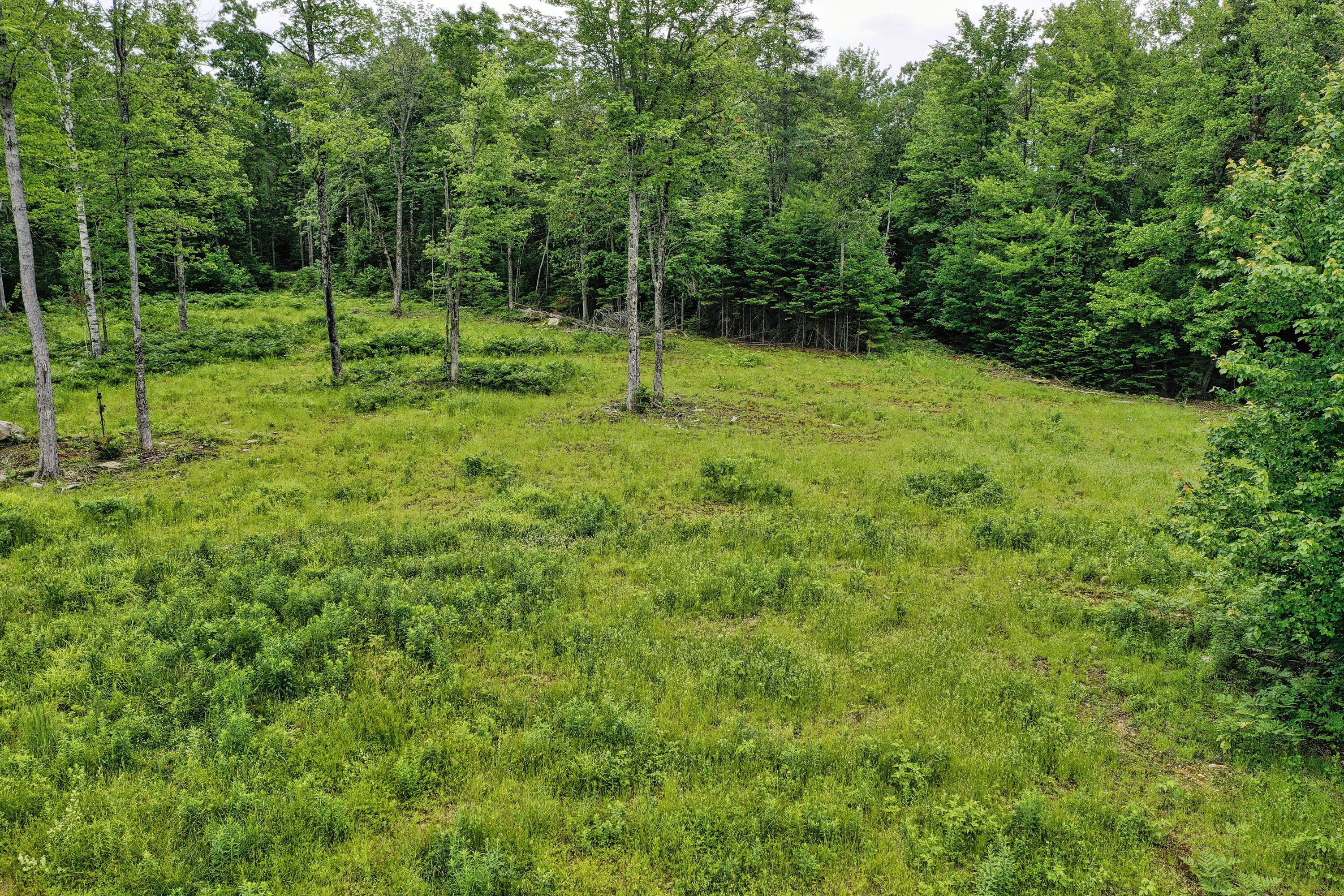 Lot 12 South Road
