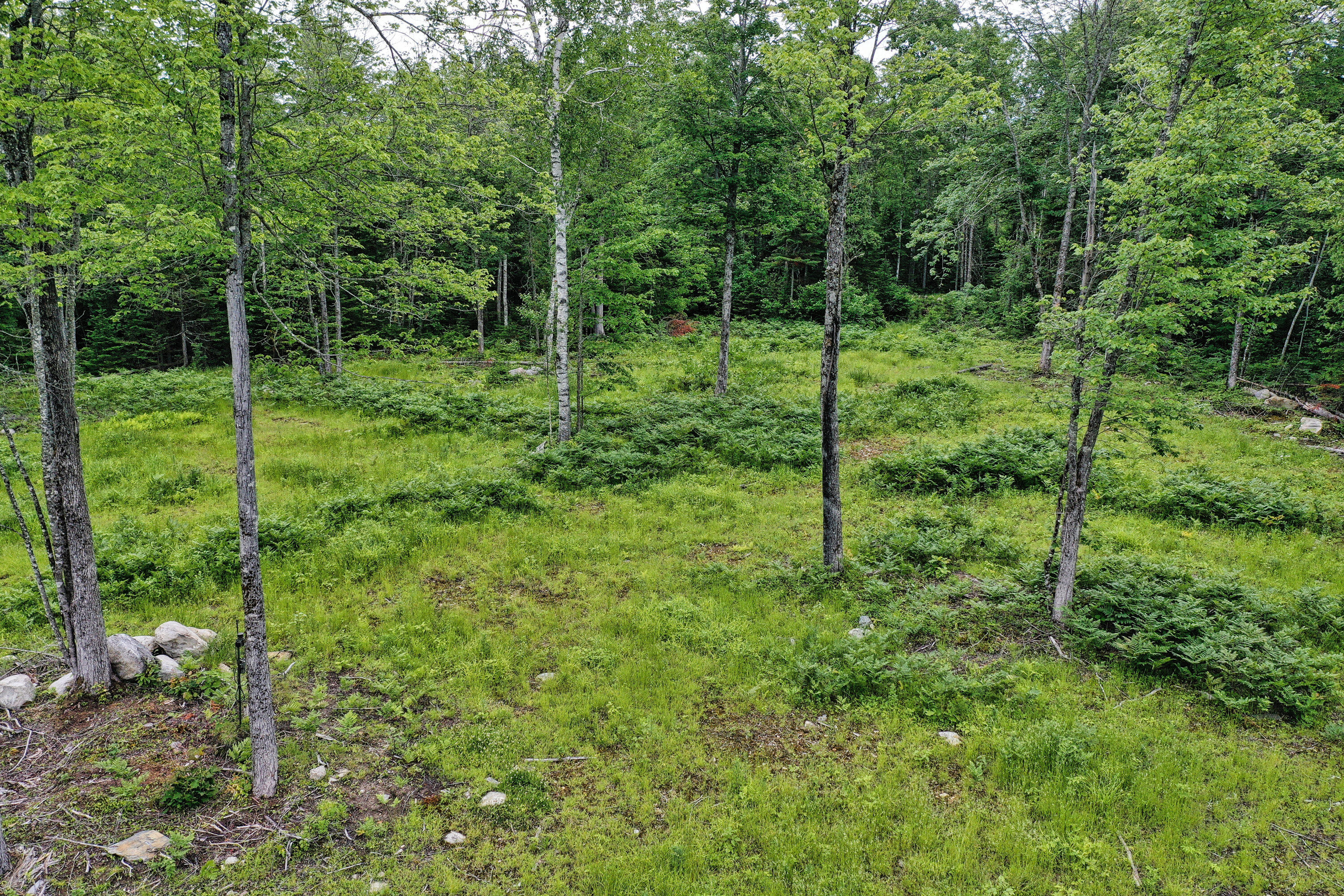 Lot 12 South Road