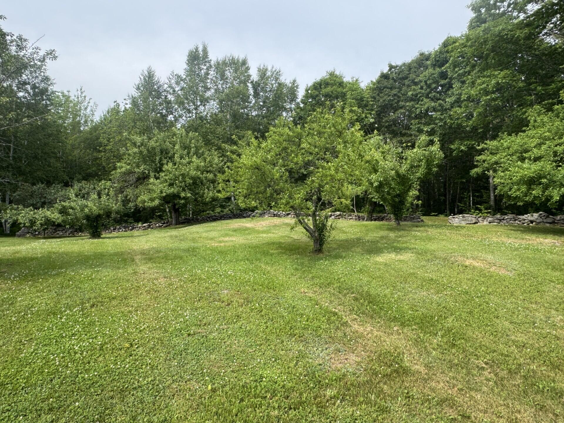 71 Garland Road