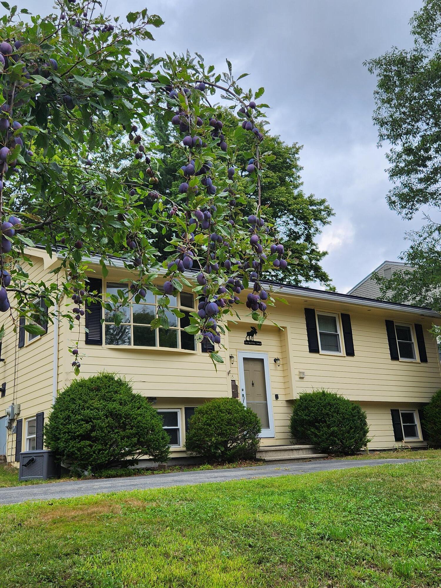 105 Windsor Avenue