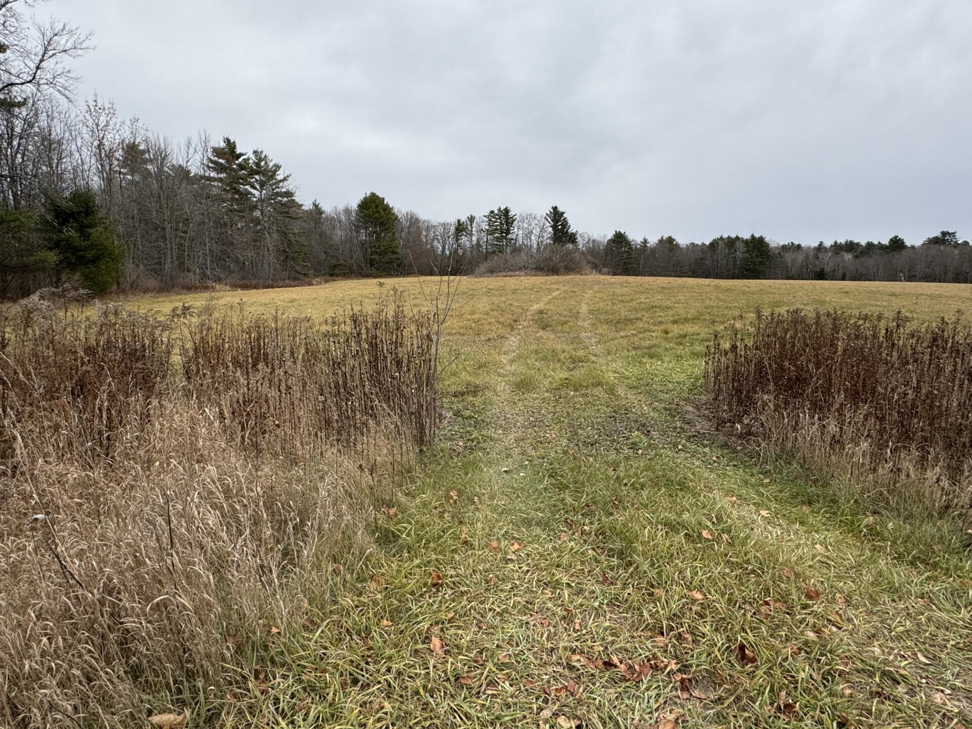 Lot 45-1 Route 220