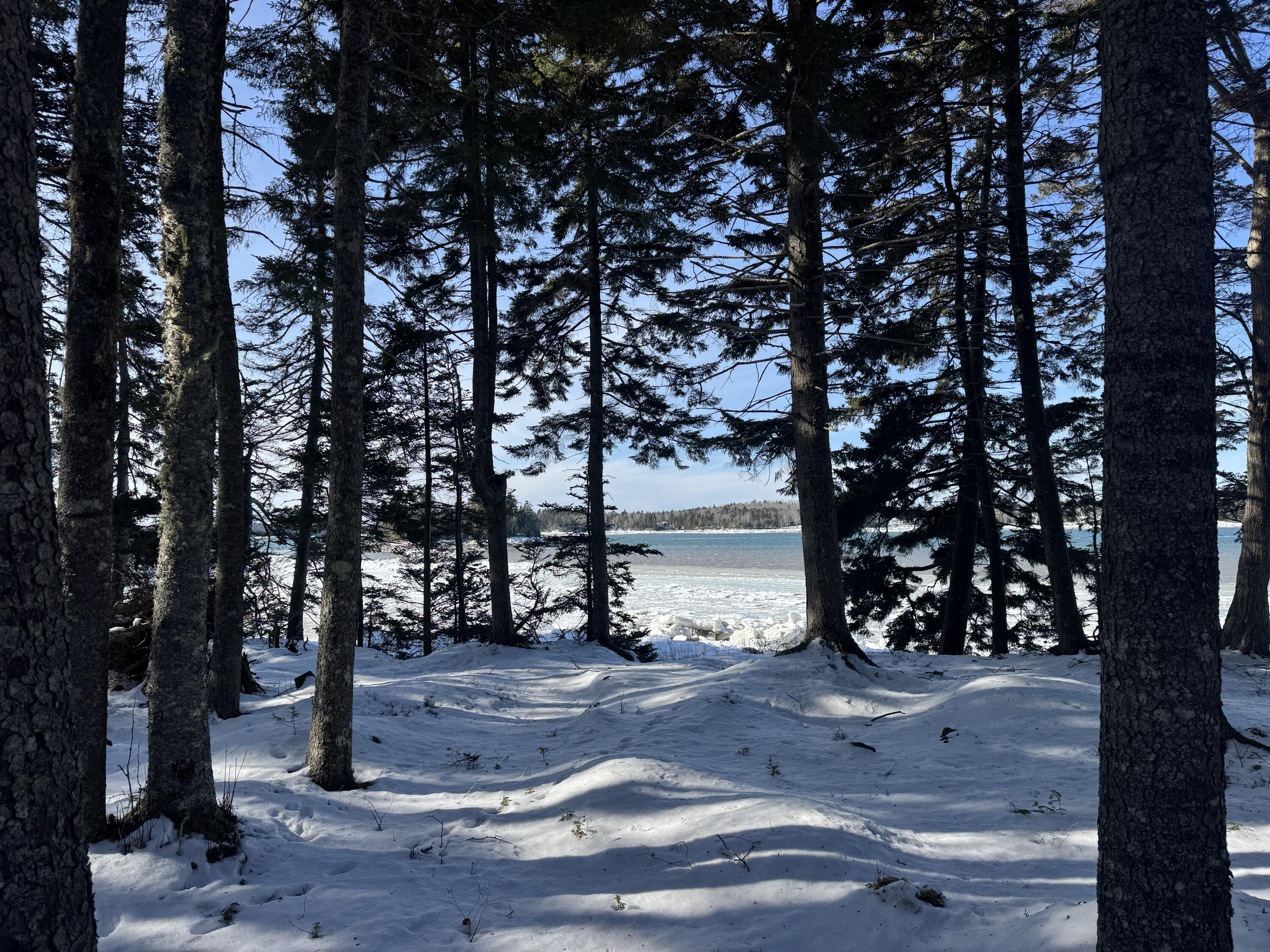 Lot B Fort Williams Road