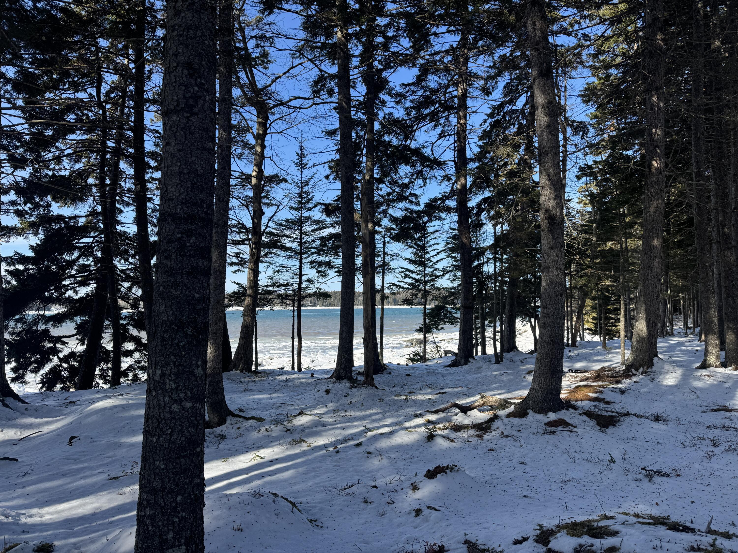 Lot B Fort Williams Road