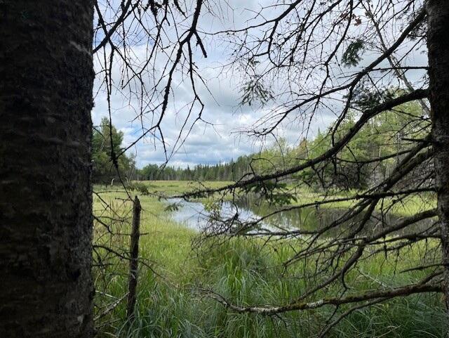 Lot 21 Bog Road