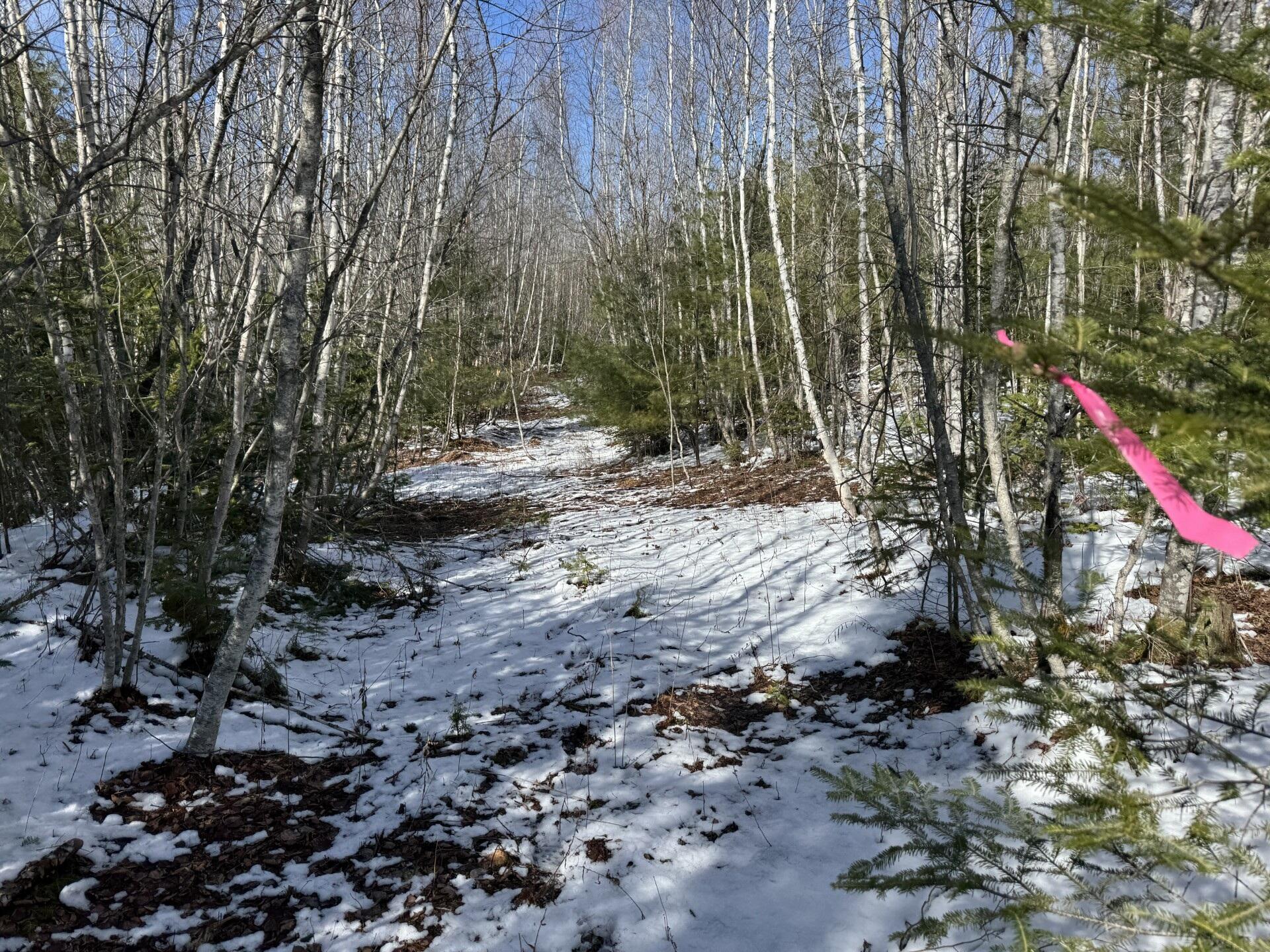 Lot 21 Bog Road
