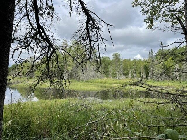 Lot 21 Bog Road