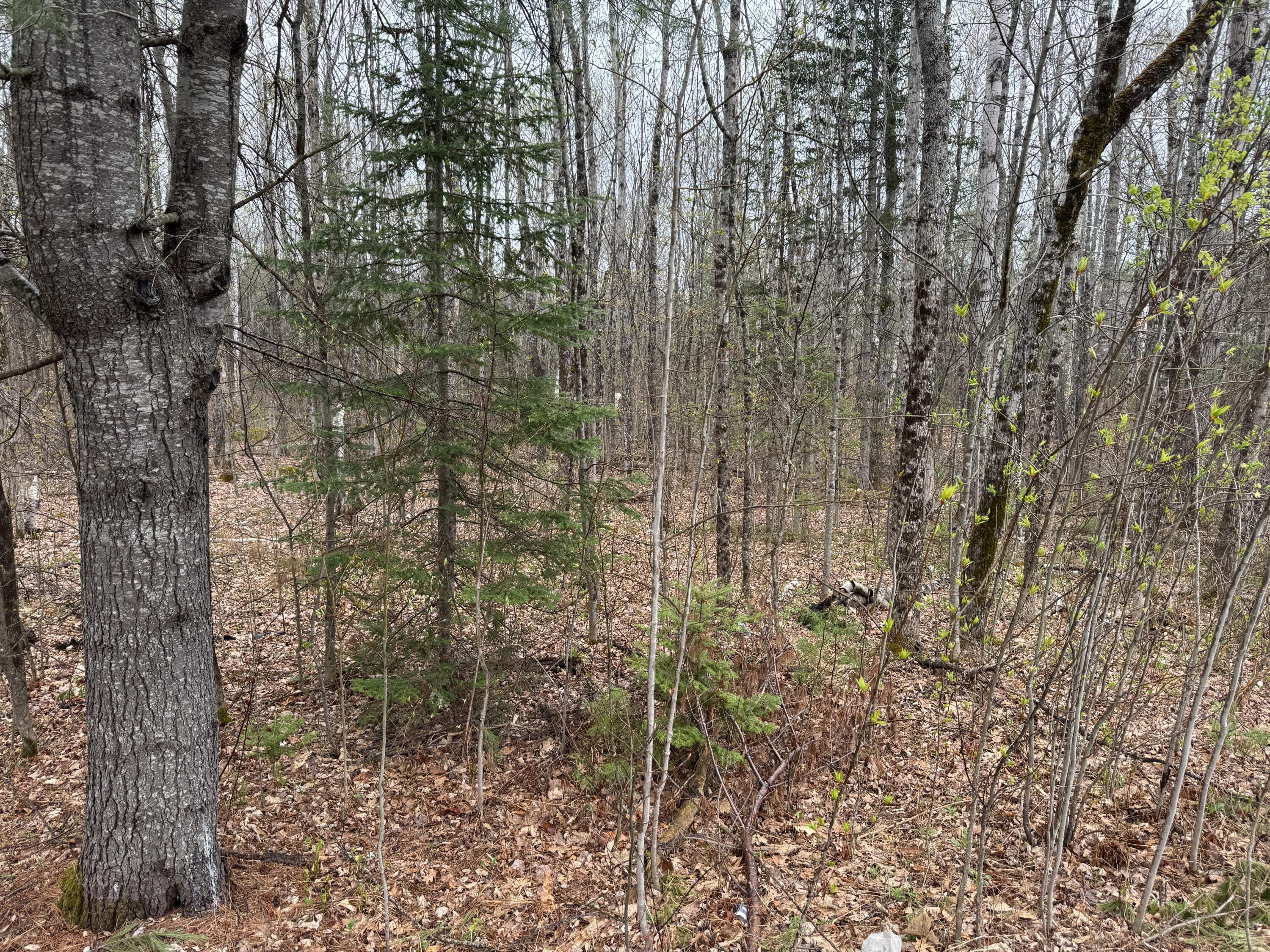 Lot 21 Bog Road