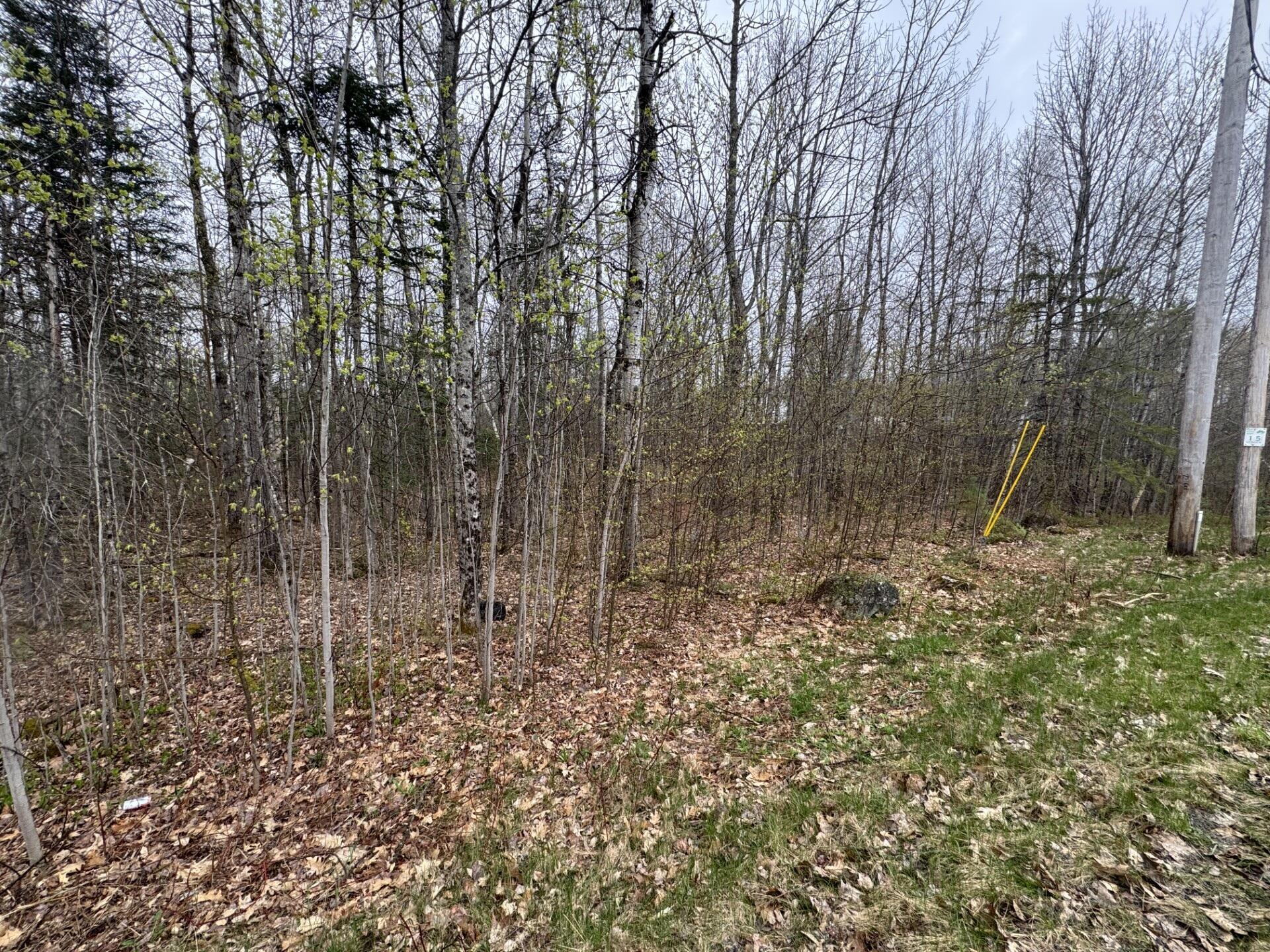 Lot 23 N Dixmont Road