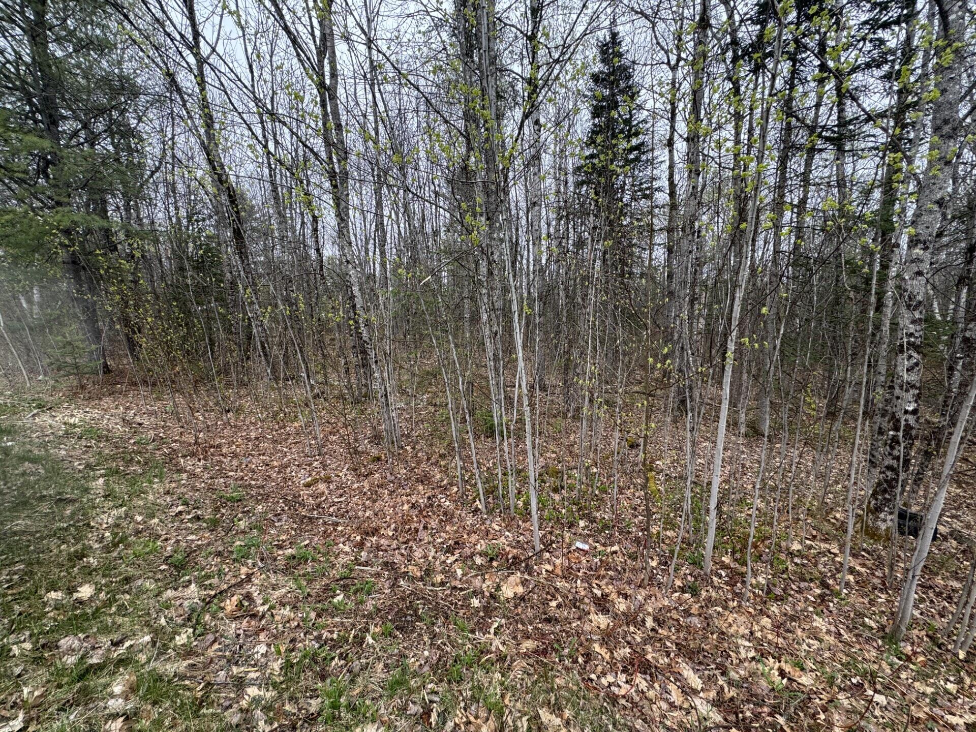 Lot 23 N Dixmont Road