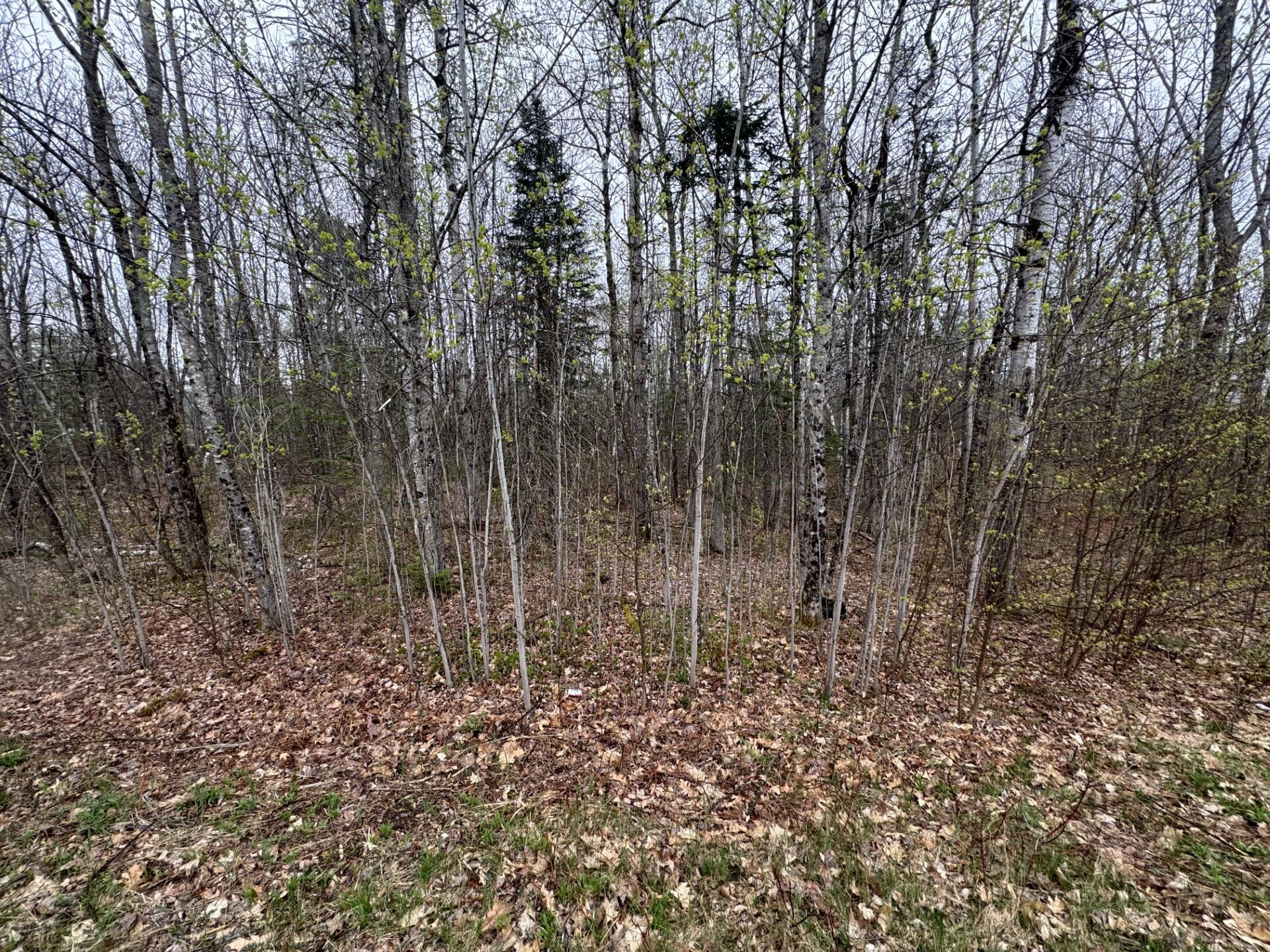 Lot 23 N Dixmont Road