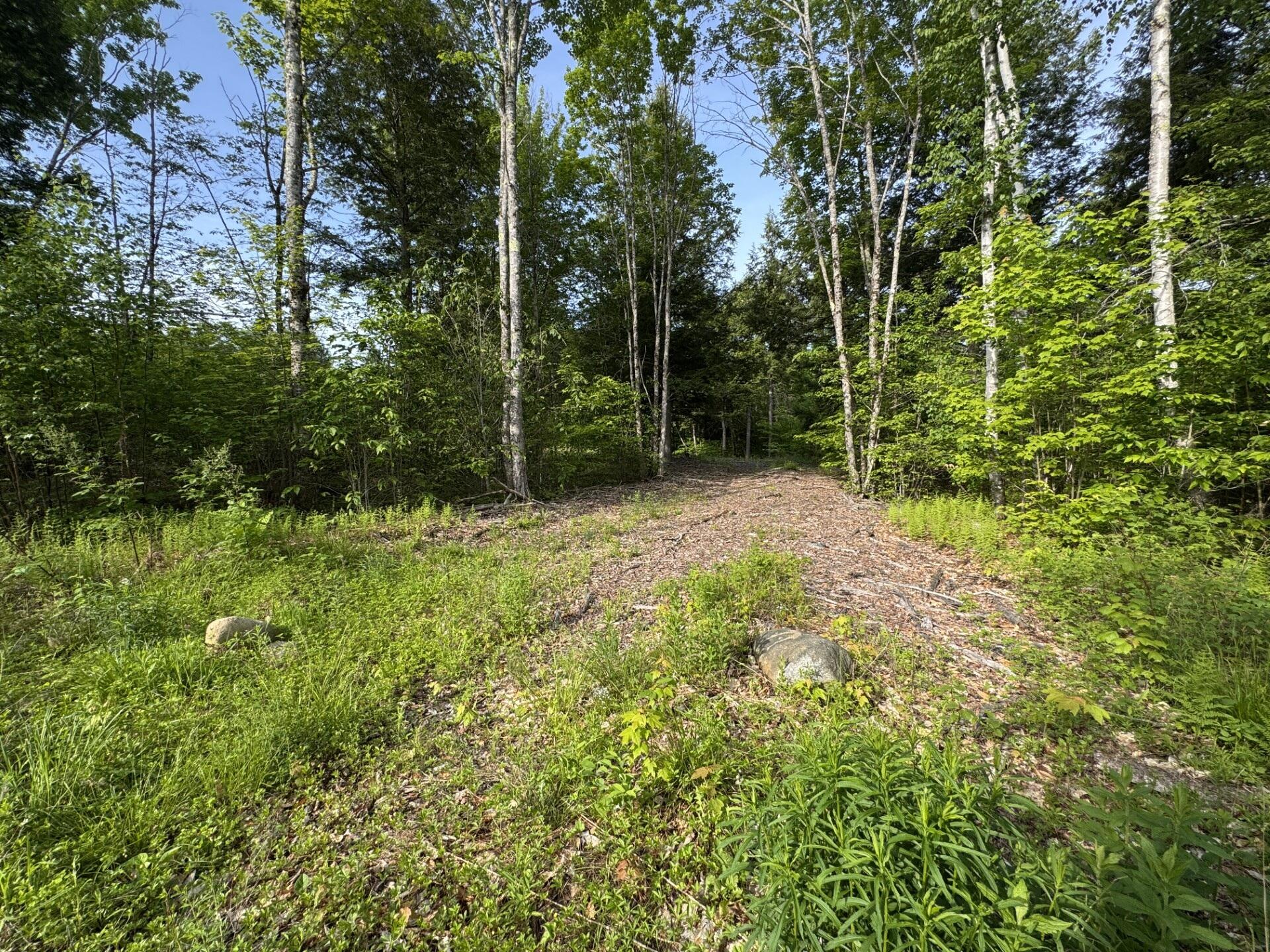 Lot 3 Albion Road