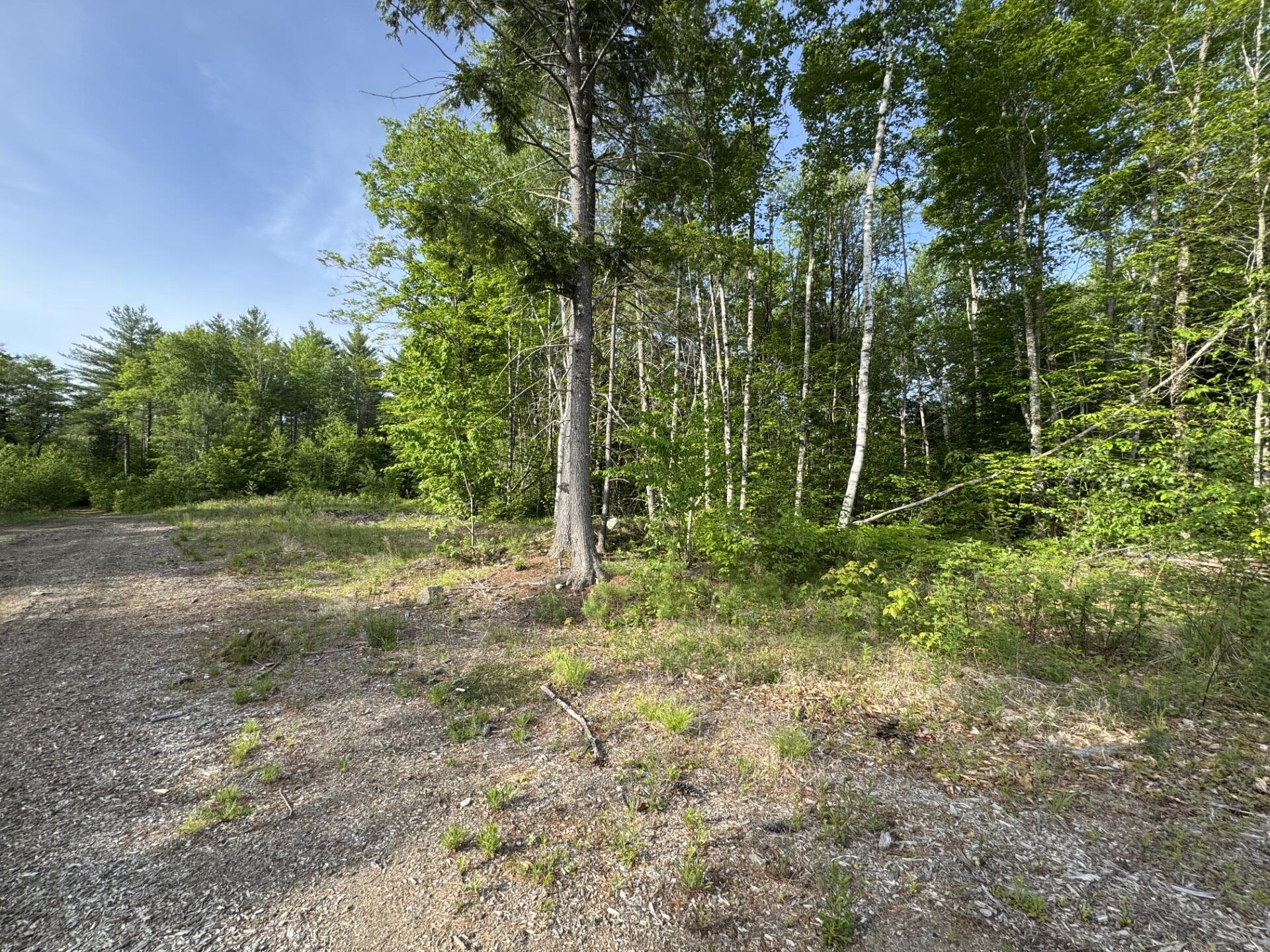 Lot 3 Albion Road