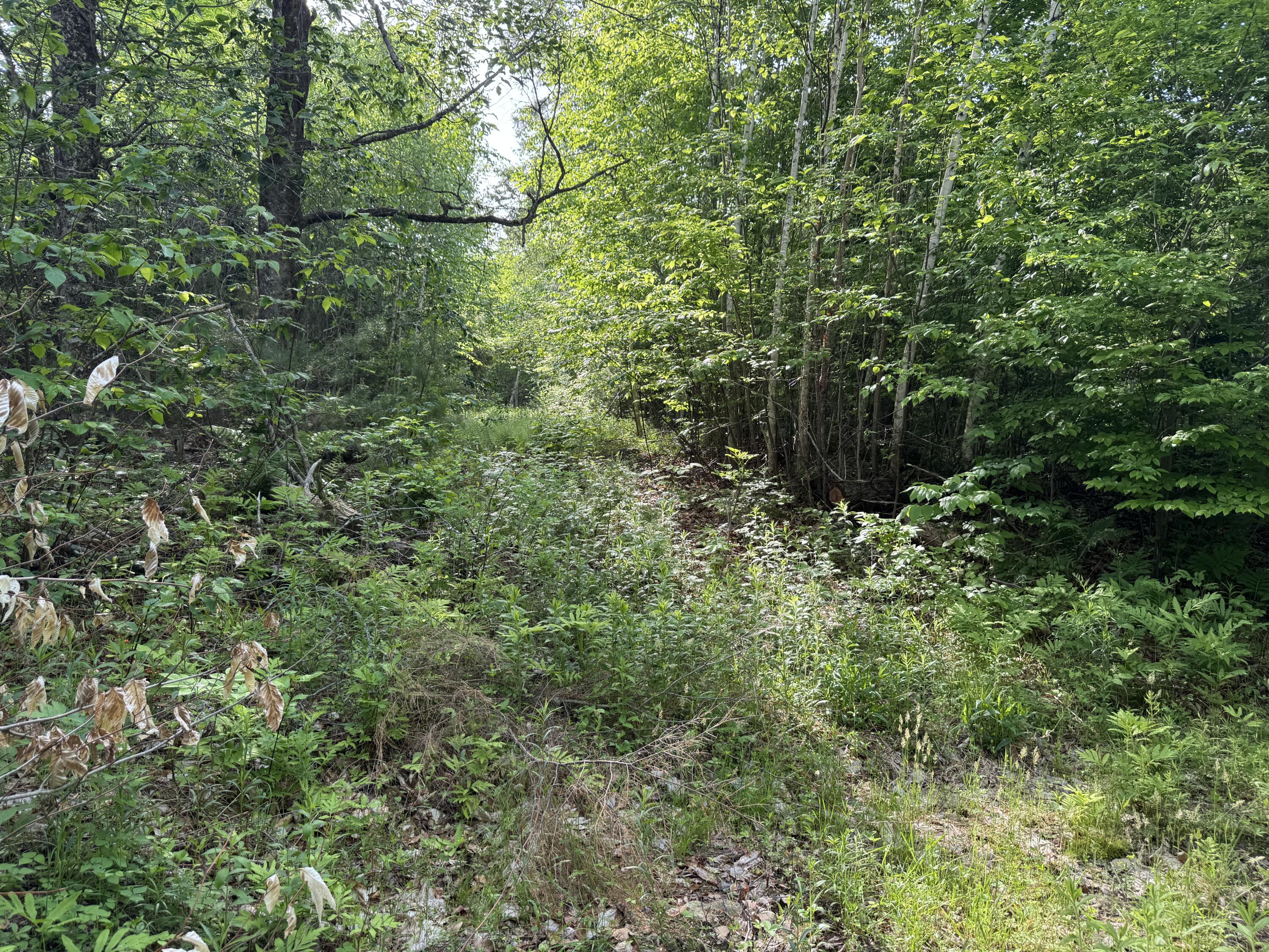 Lot 3 Albion Road