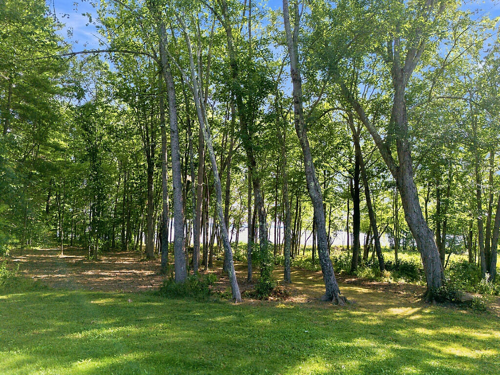 199 Island Lane