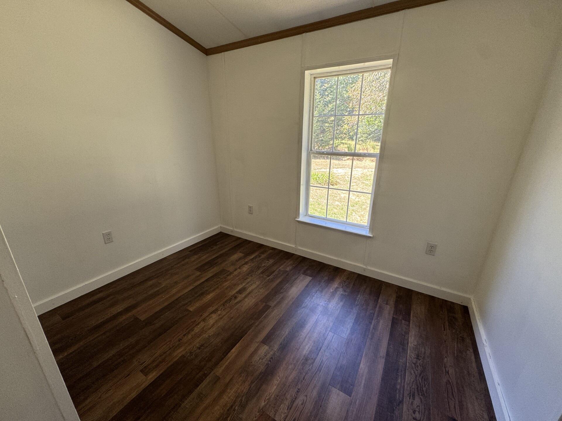 Empty room with dark plank flooring and a tall window overlooking grass and trees.