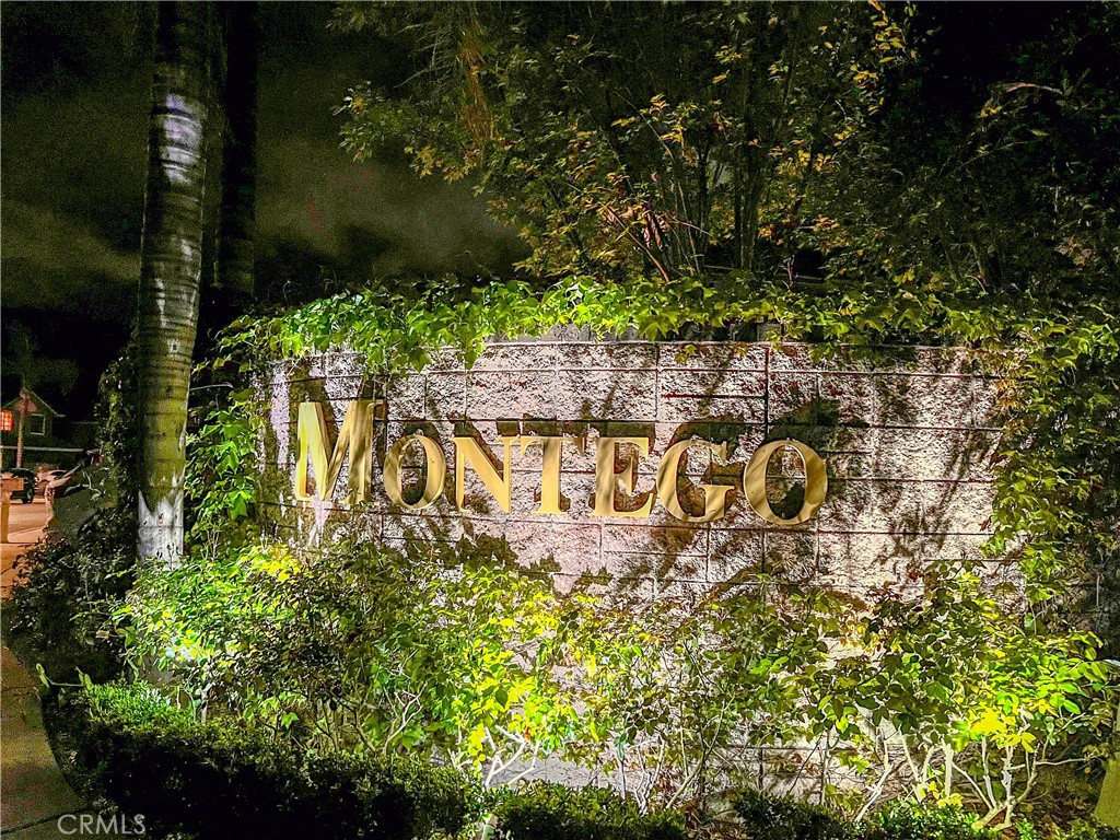339 Ocho Rios Way