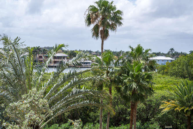 3720 S Ocean Boulevard 307