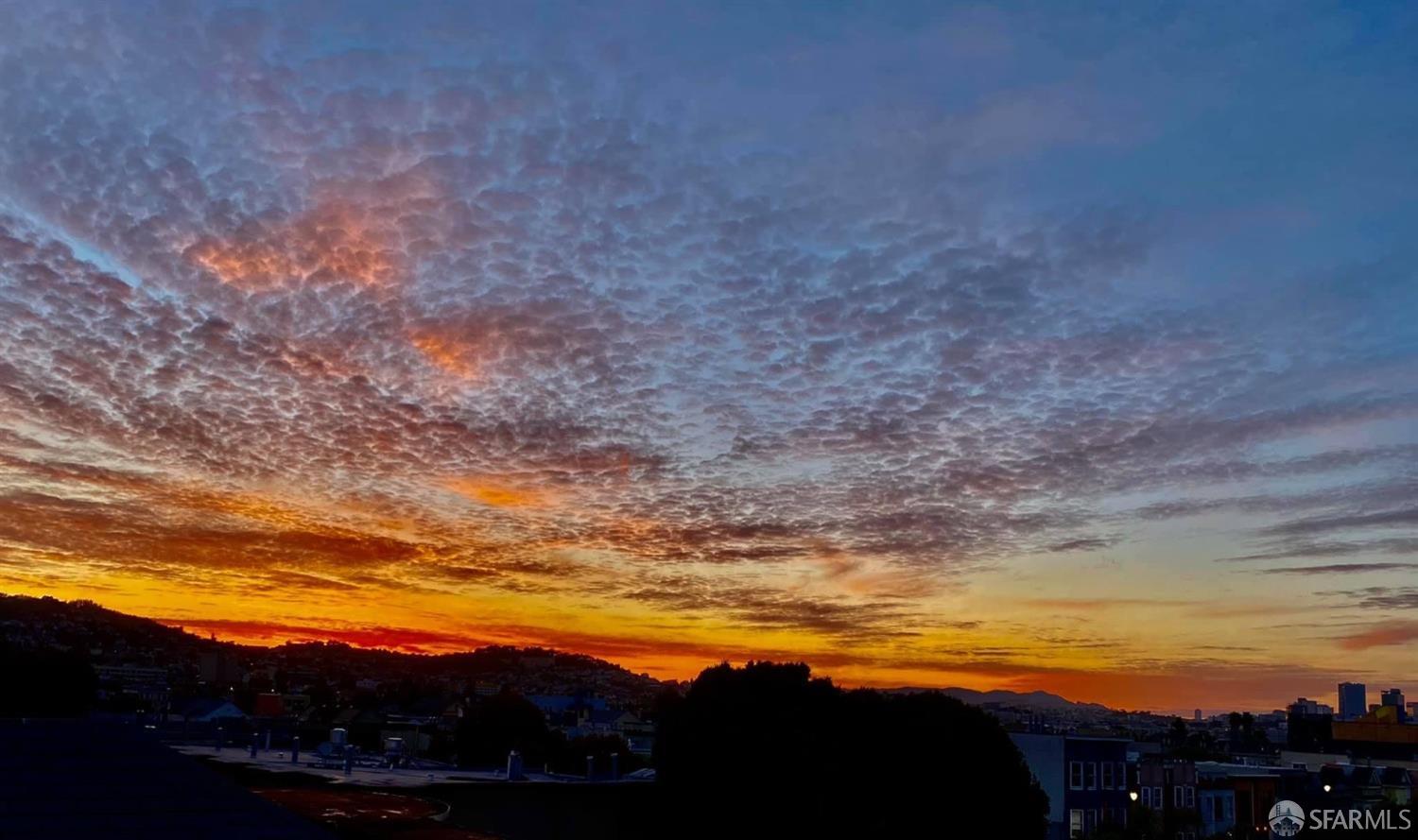 2637 24th Street # 3