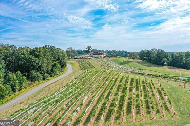 0 Strada Del Vino