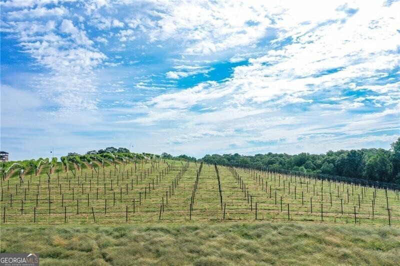 0 Strada Del Vino