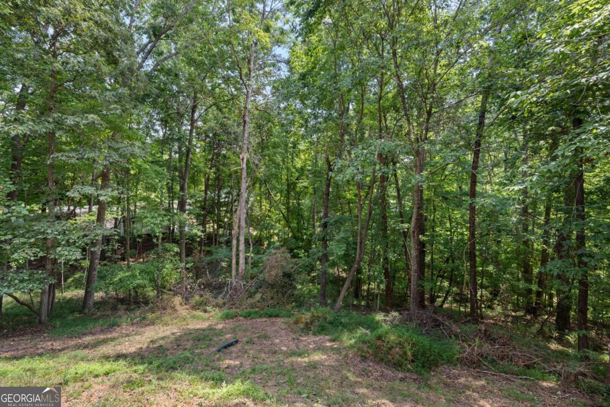 81 Trevor Trail
