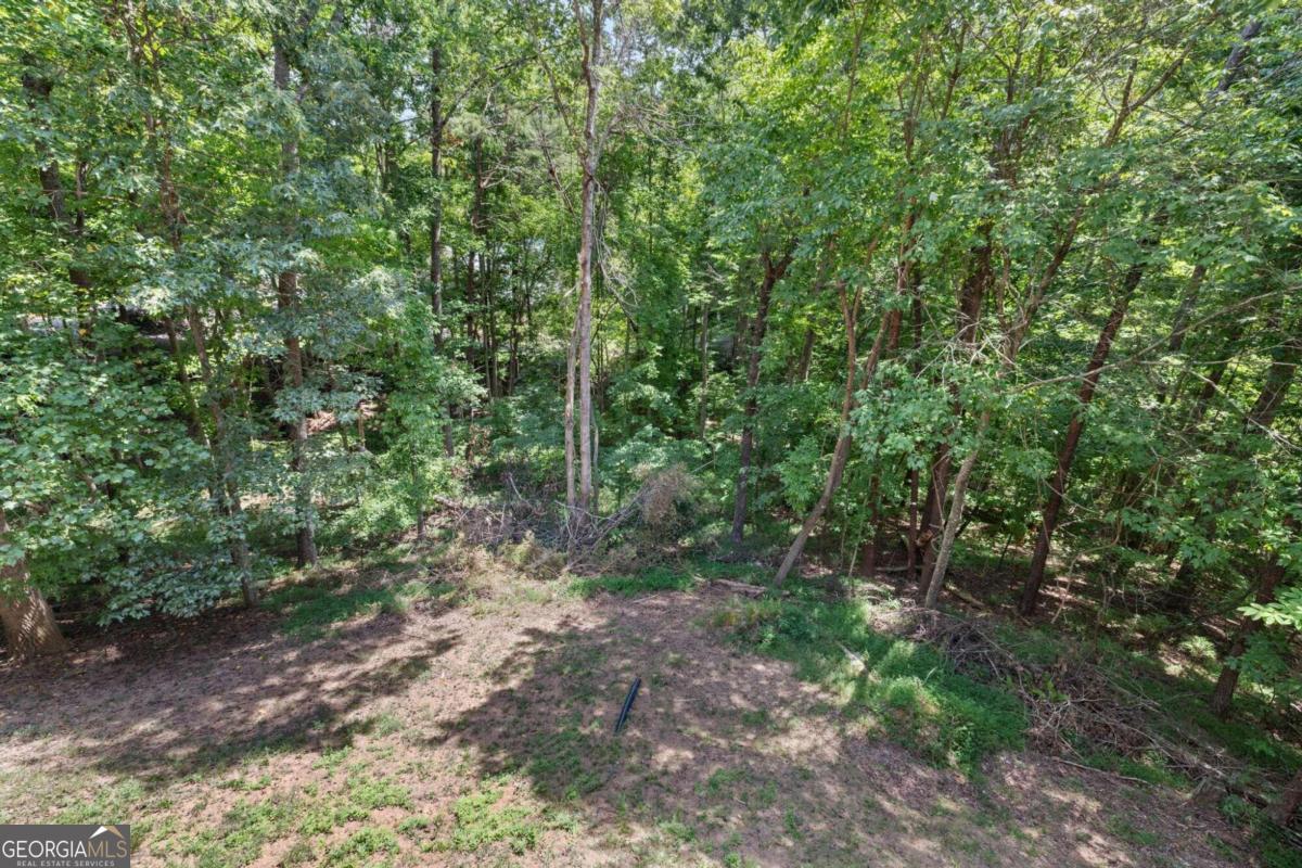 81 Trevor Trail