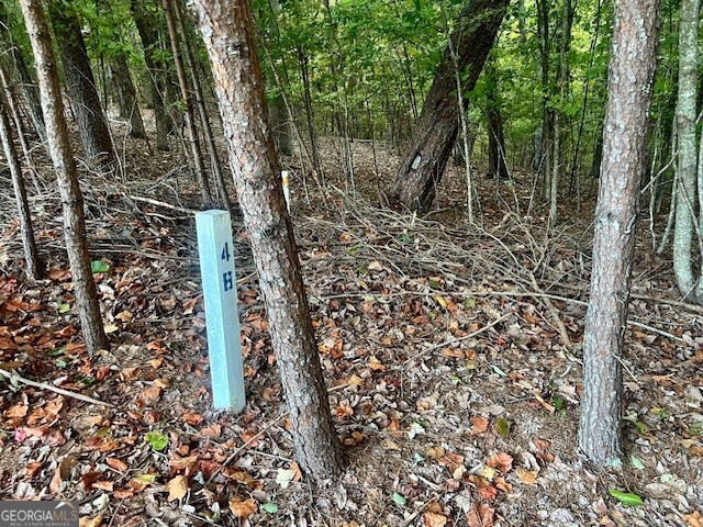 LOT 48 Green Meadows