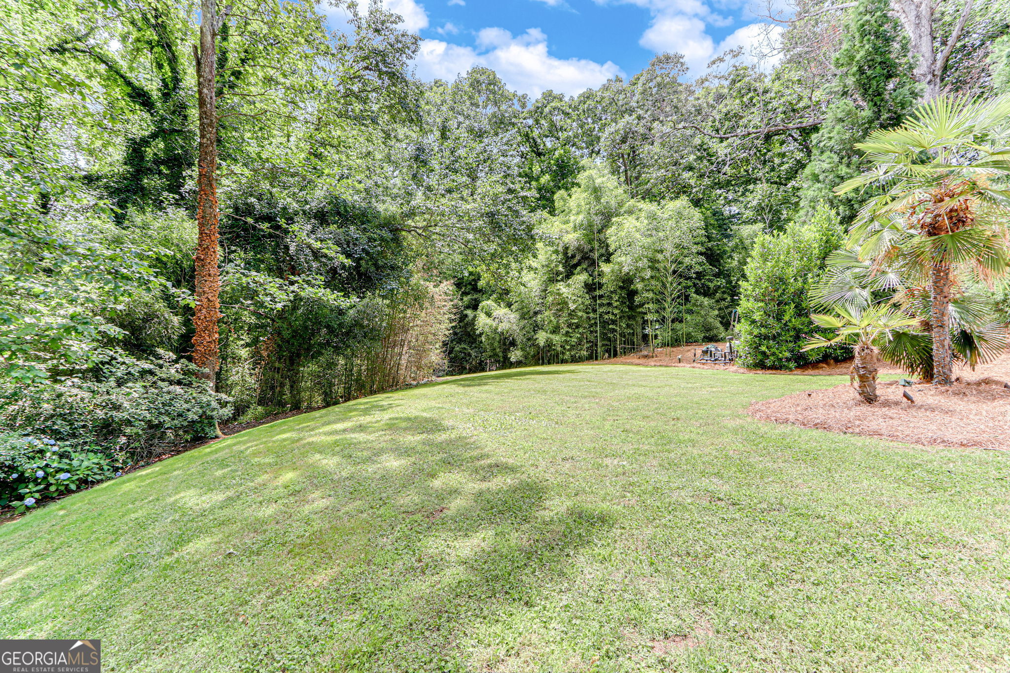3161 Overlook Drive
