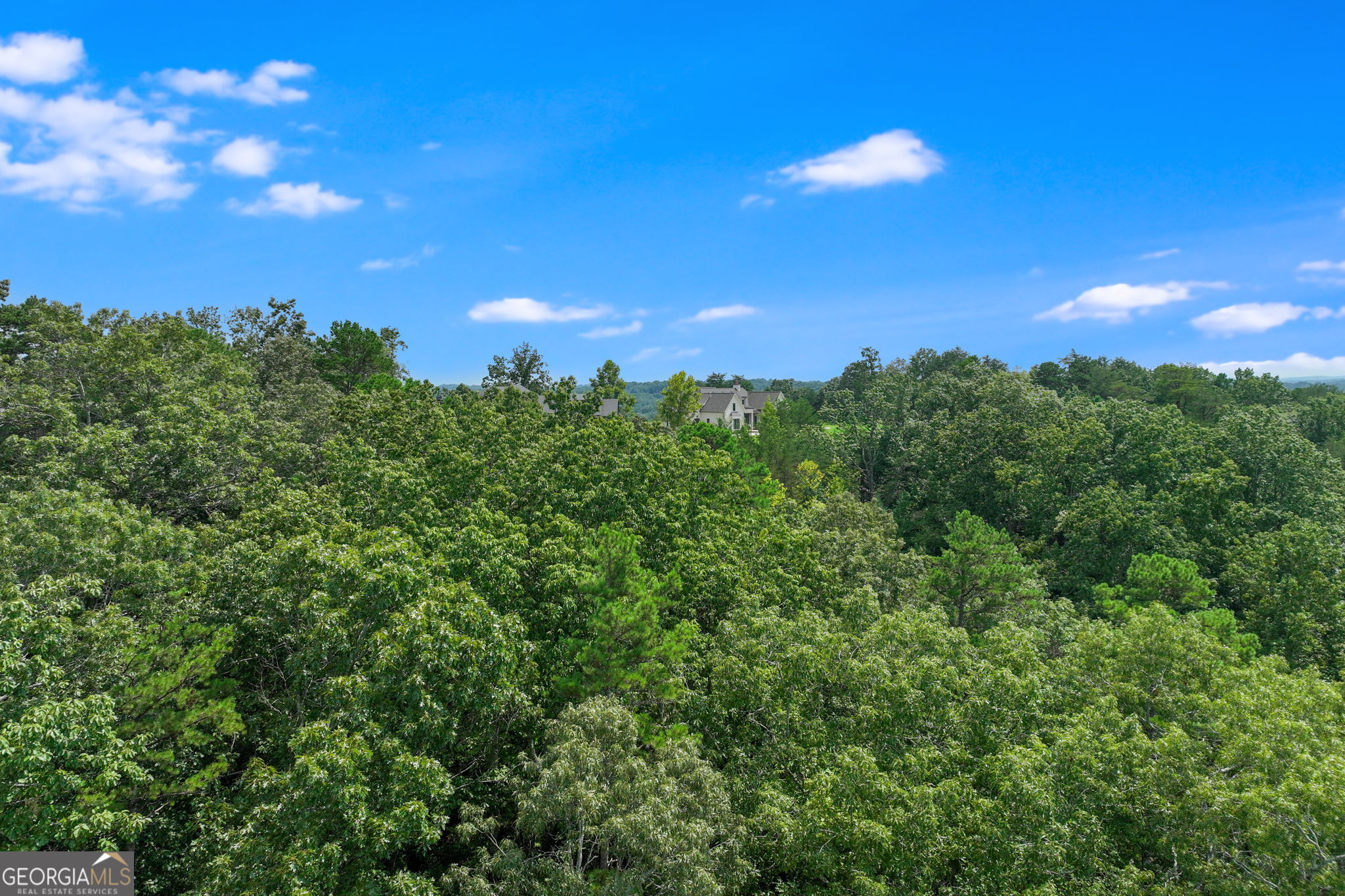 1042 Bruin Court