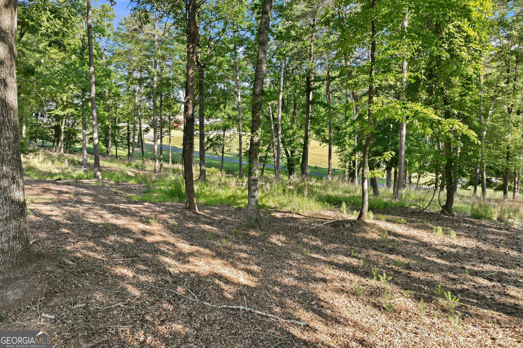 4703 Mount Vernon Roads