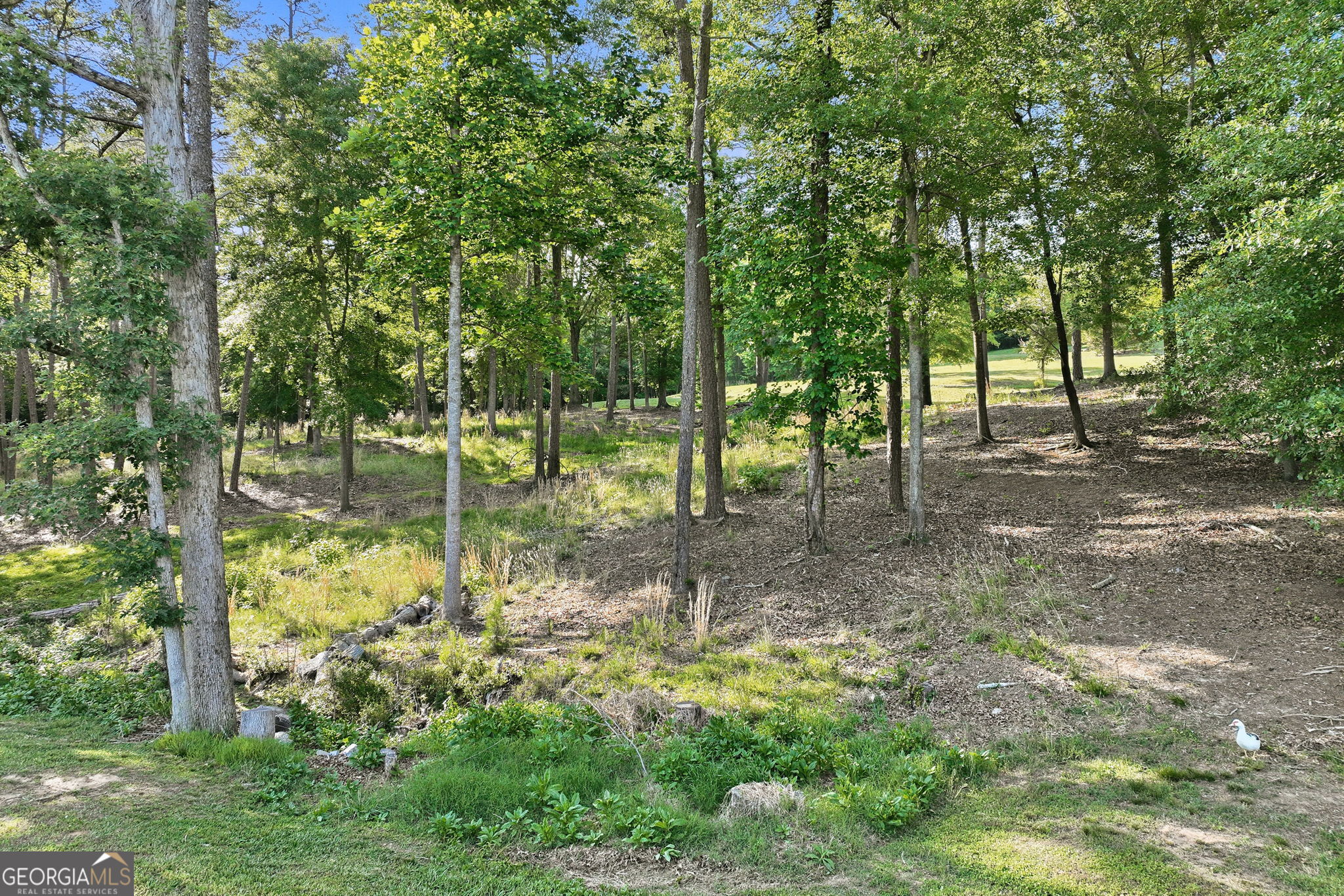 4703 Mount Vernon Roads