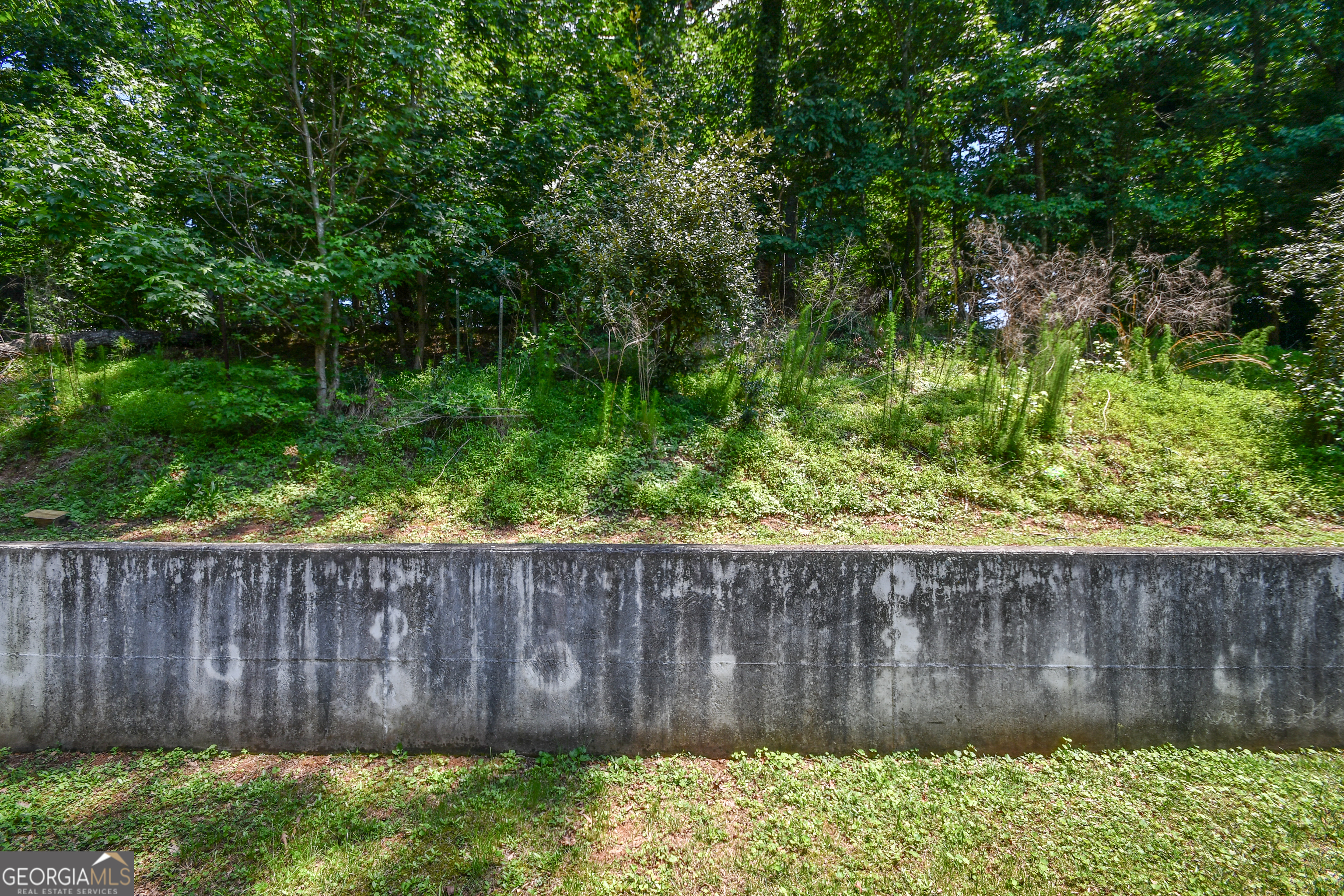 1512 Robinhood Trail