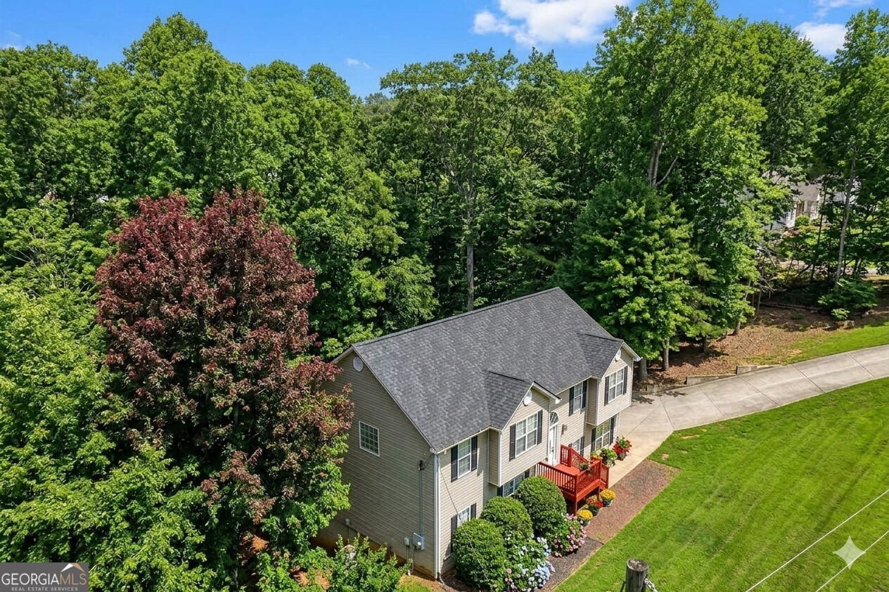 3024 Big Tree Road
