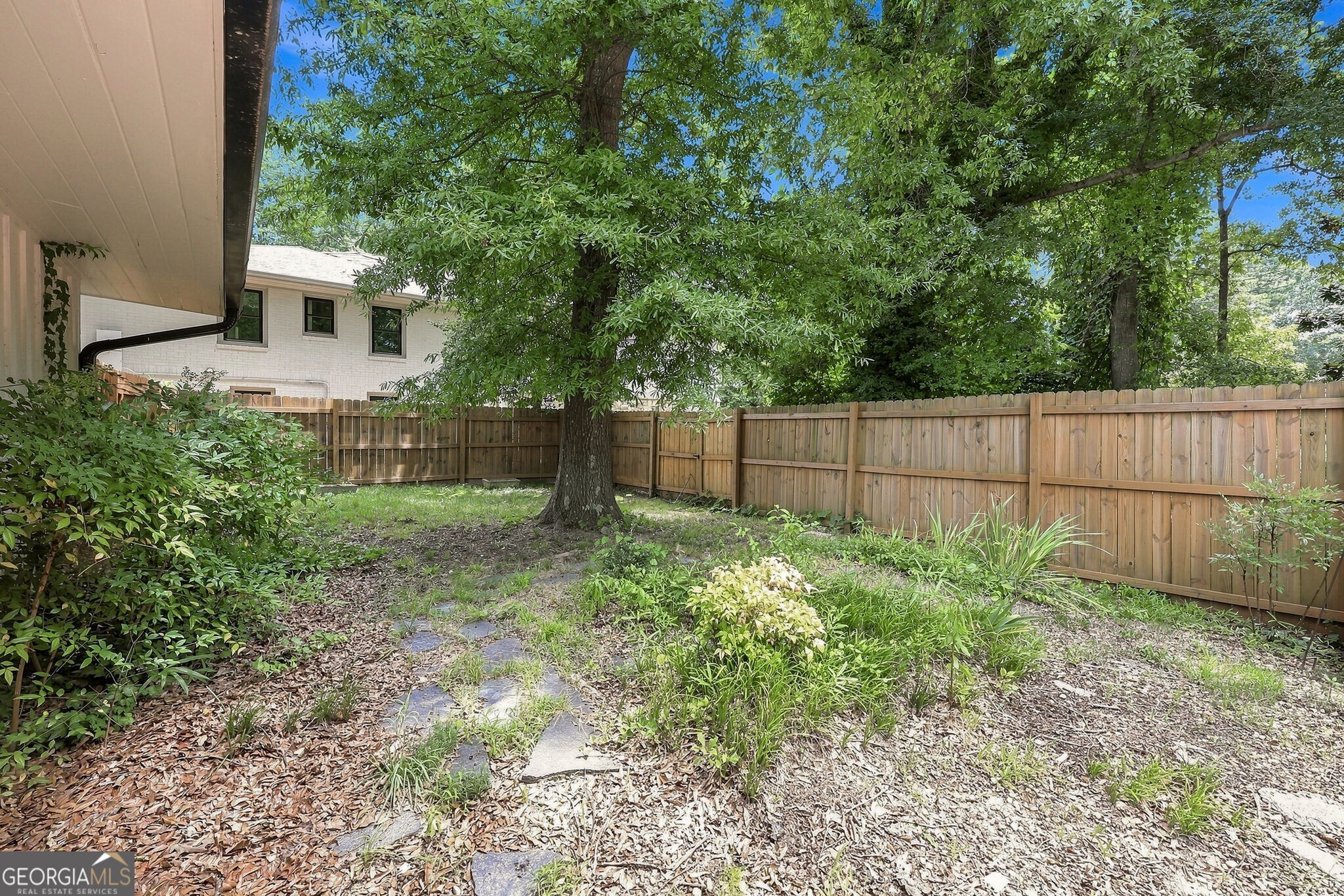 989 Rudolph Street