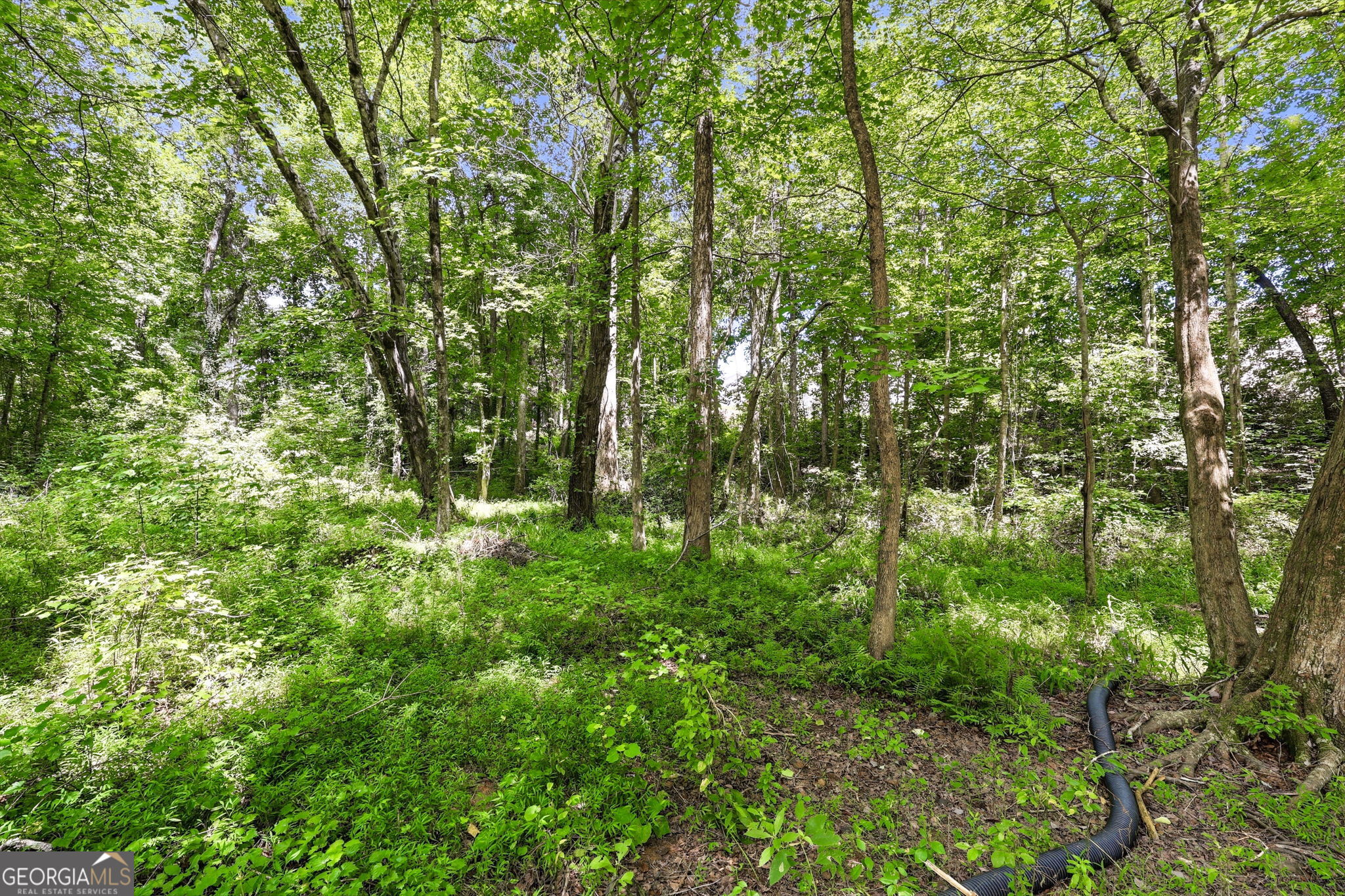 3970 Walnut Grove Way