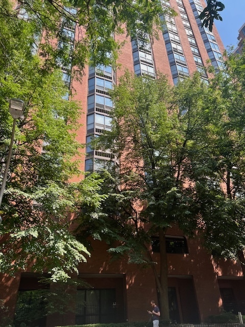 899 S Plymouth Court Unit: 910