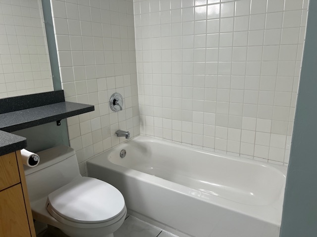 899 S Plymouth Court Unit: 910