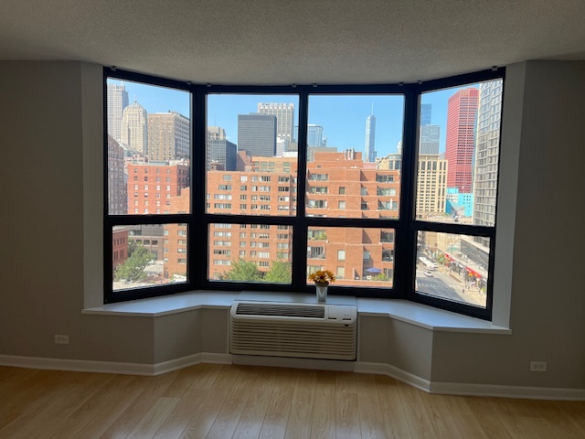 899 S Plymouth Court Unit: 910