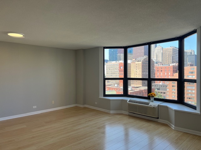 899 S Plymouth Court Unit: 910
