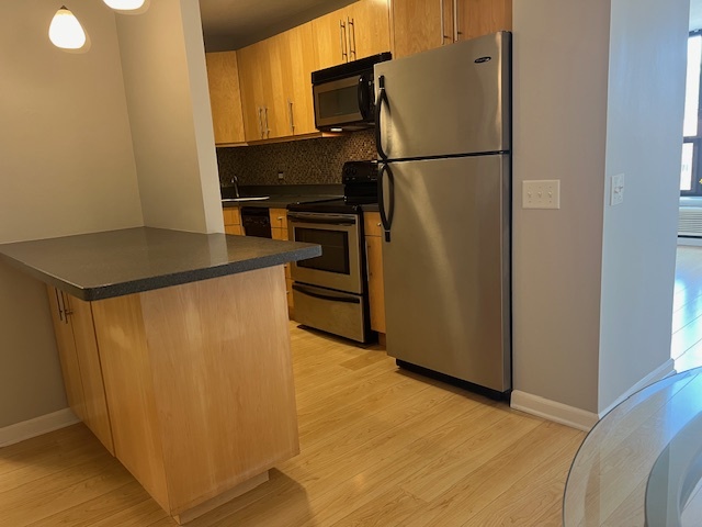 899 S Plymouth Court Unit: 910