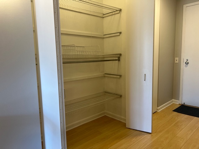 899 S Plymouth Court Unit: 910