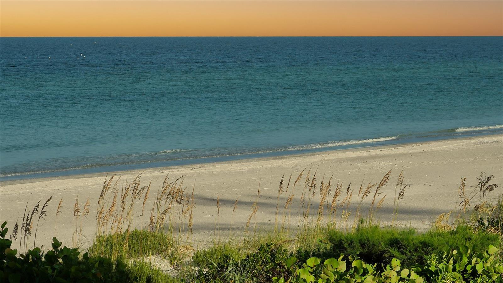 2301 GULF OF MEXICO DR #21N