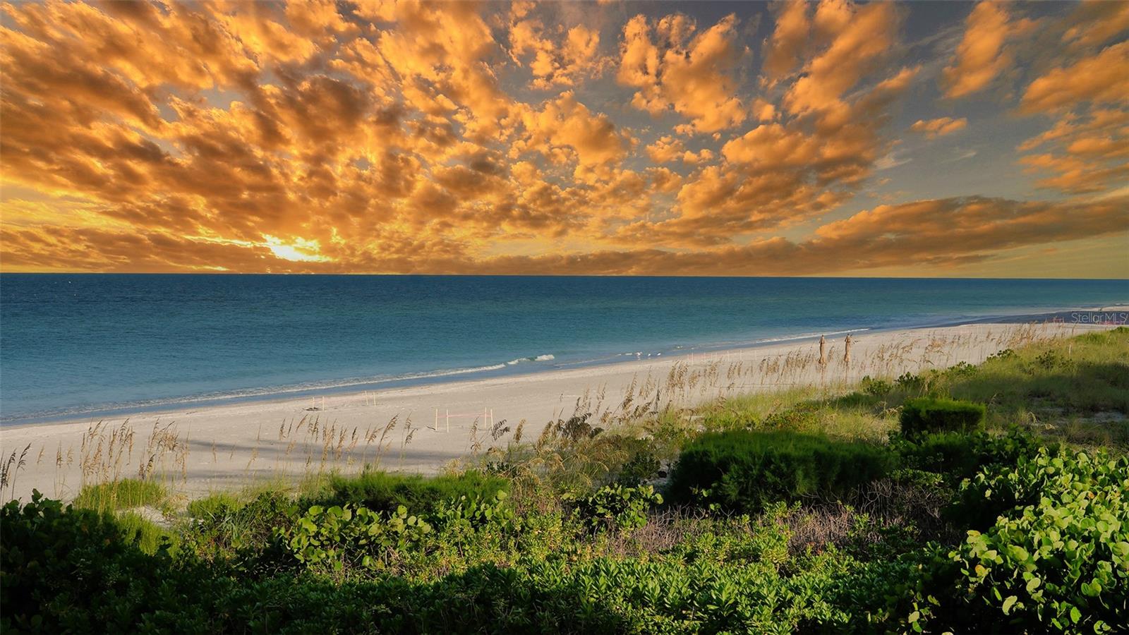 2301 GULF OF MEXICO DR #21N