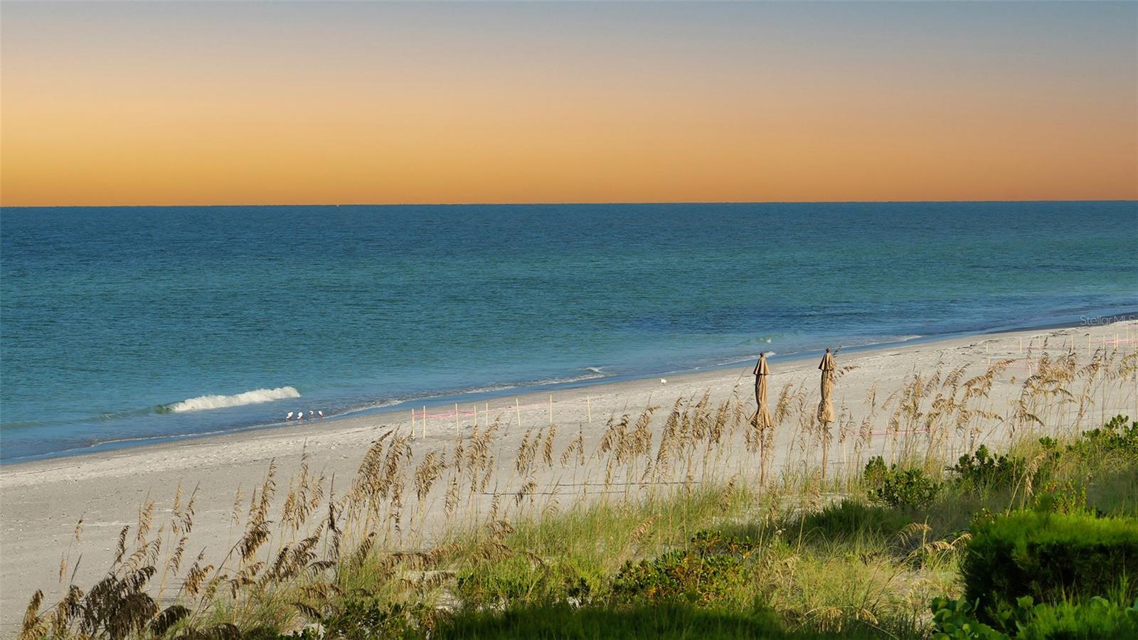 2301 GULF OF MEXICO DR #21N